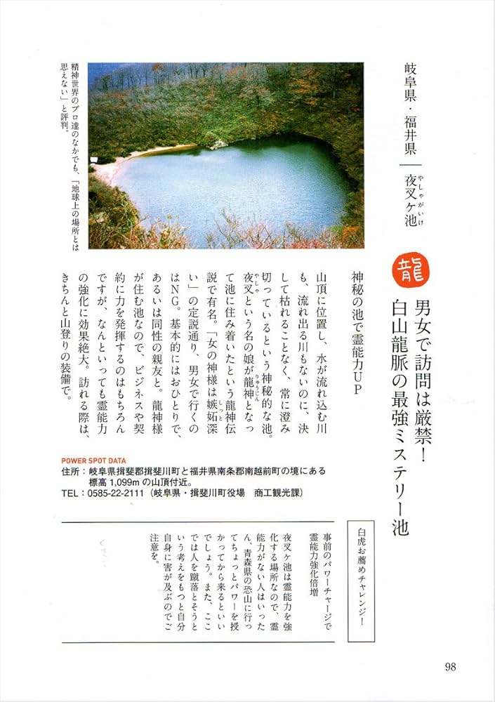 さらに値下げ致しました　一閑張りバッグ　開運　昇り龍　運気上昇 さらに値下げ致しました 一閑張りバッグ 開運 昇り龍 運気上昇