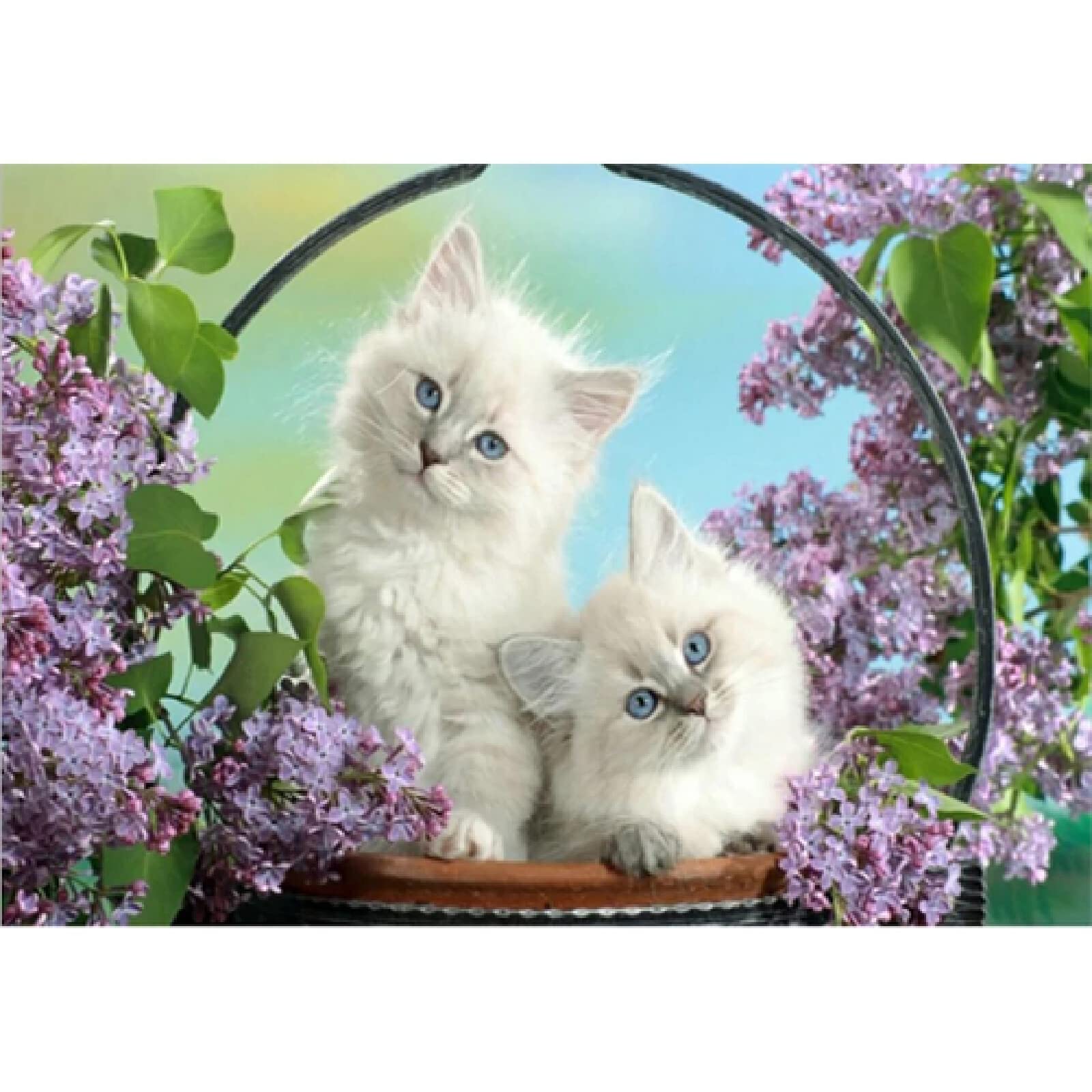 Kit Diamond Painting 5D HecticCore – Gatto, 30x40 Cm, Diamanti Rotondi A 17 Faccette - 4