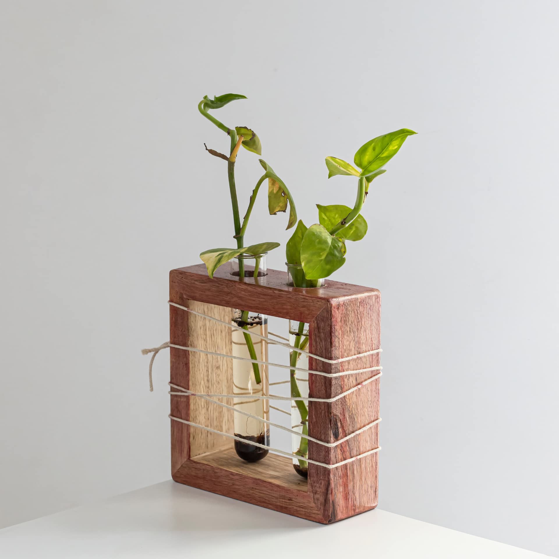 See full amazon price history chart for Mirai Woods ® Apaiser Mango Wood Test Tube Planter with 2 Test Tubes, Planter, Indoor Planter, Wooden Craft, Plant Pots, Home Decor, Decor, Handpainted, Handmade Mirai Woods ® Apaiser Mango Wood Test Tube Planter with 2 Test Tubes, Planter, Indoor Planter, Wooden Craft, Plant Pots, Home Decor, Decor, Handpainted, Handmade (B08XMP6D58) Amazon Price History, Amazon Price Tracker