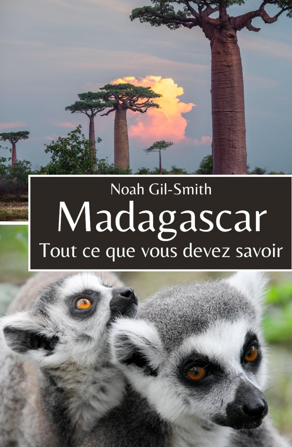Madagascar: Tout ce que vous devez savoir