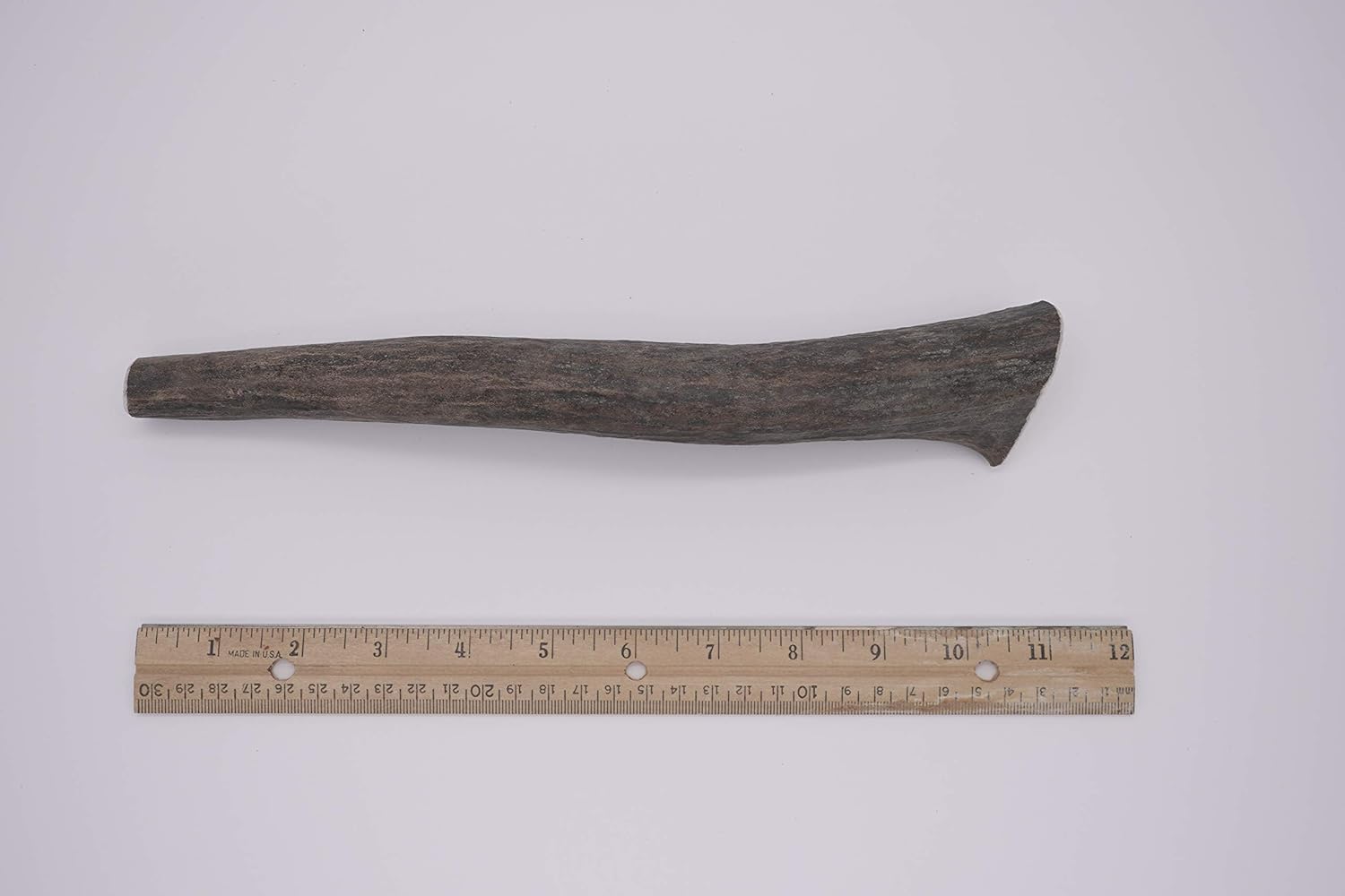 Mammoth Moose Tine - Moose Antler Dog Chew - Grade A Premium - Organic - Made in USA - No Mess
