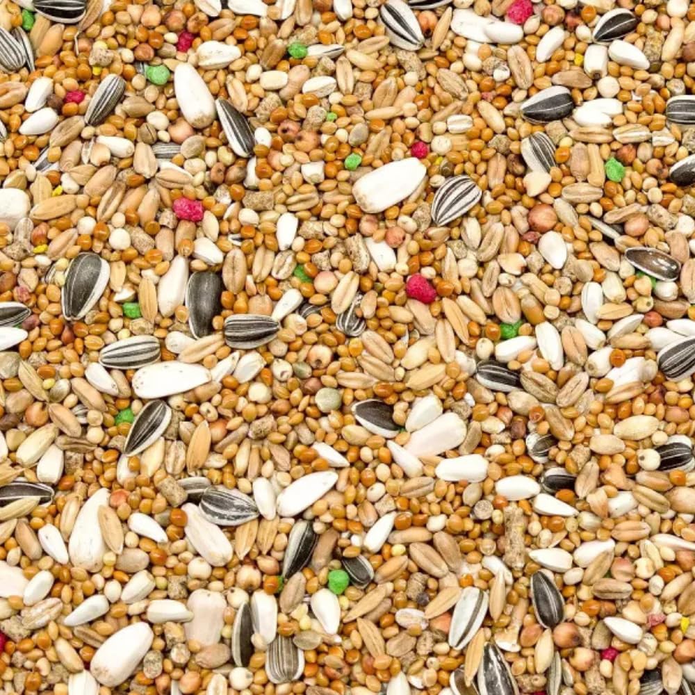 10 kg karma dla papug średniej wielkości papugi z ostropestem plamistym, krokoszem, żółtkiem lnianym, w paski i białymi pestkami słonecznika, idealna dla papug nimfowych, papug, roseli itp.