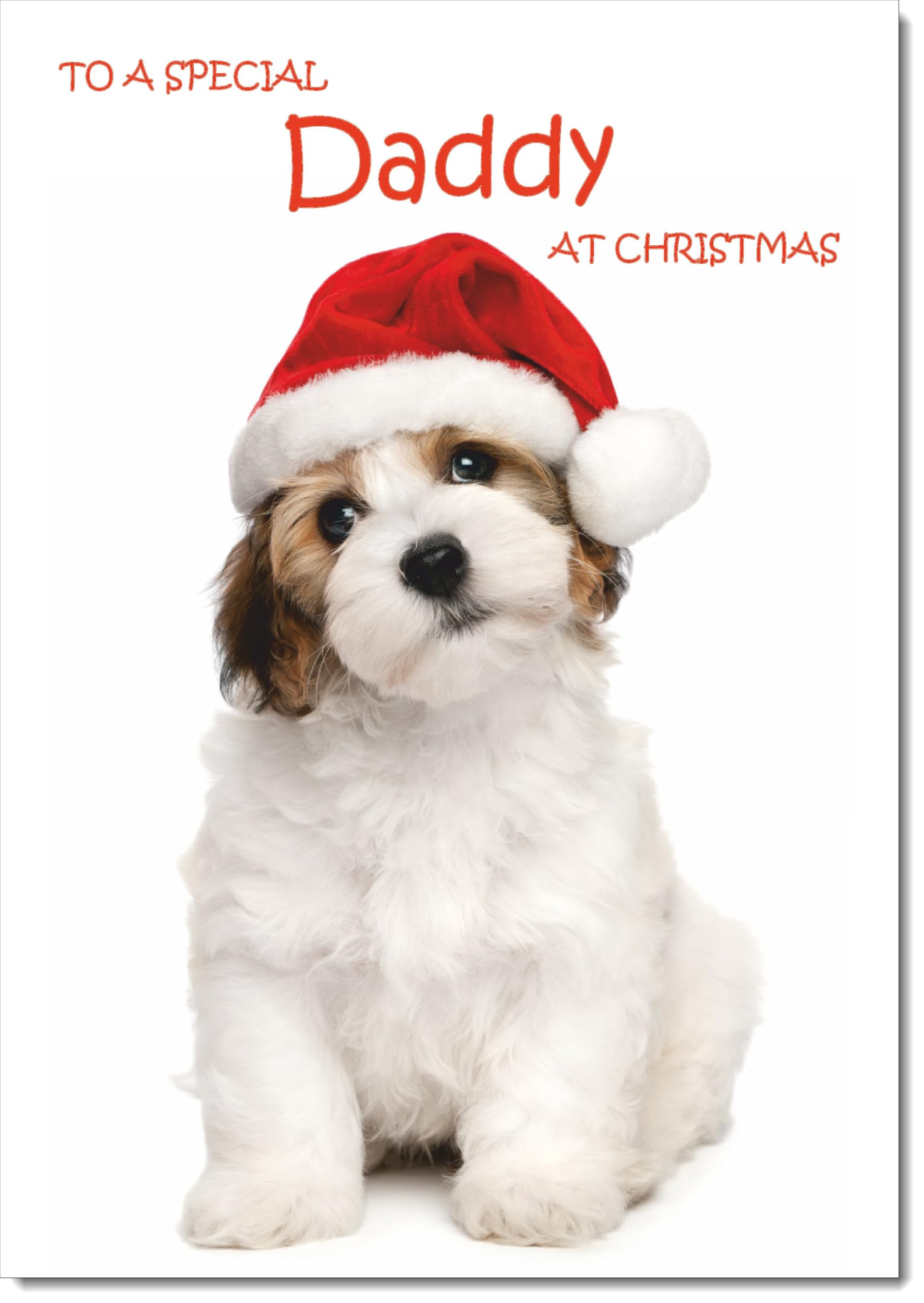 doodlecards Daddy Christmas Card Dog and Santa Hat Large A4 Size Christmas Card for Daddy with Plain Envelope — image 1