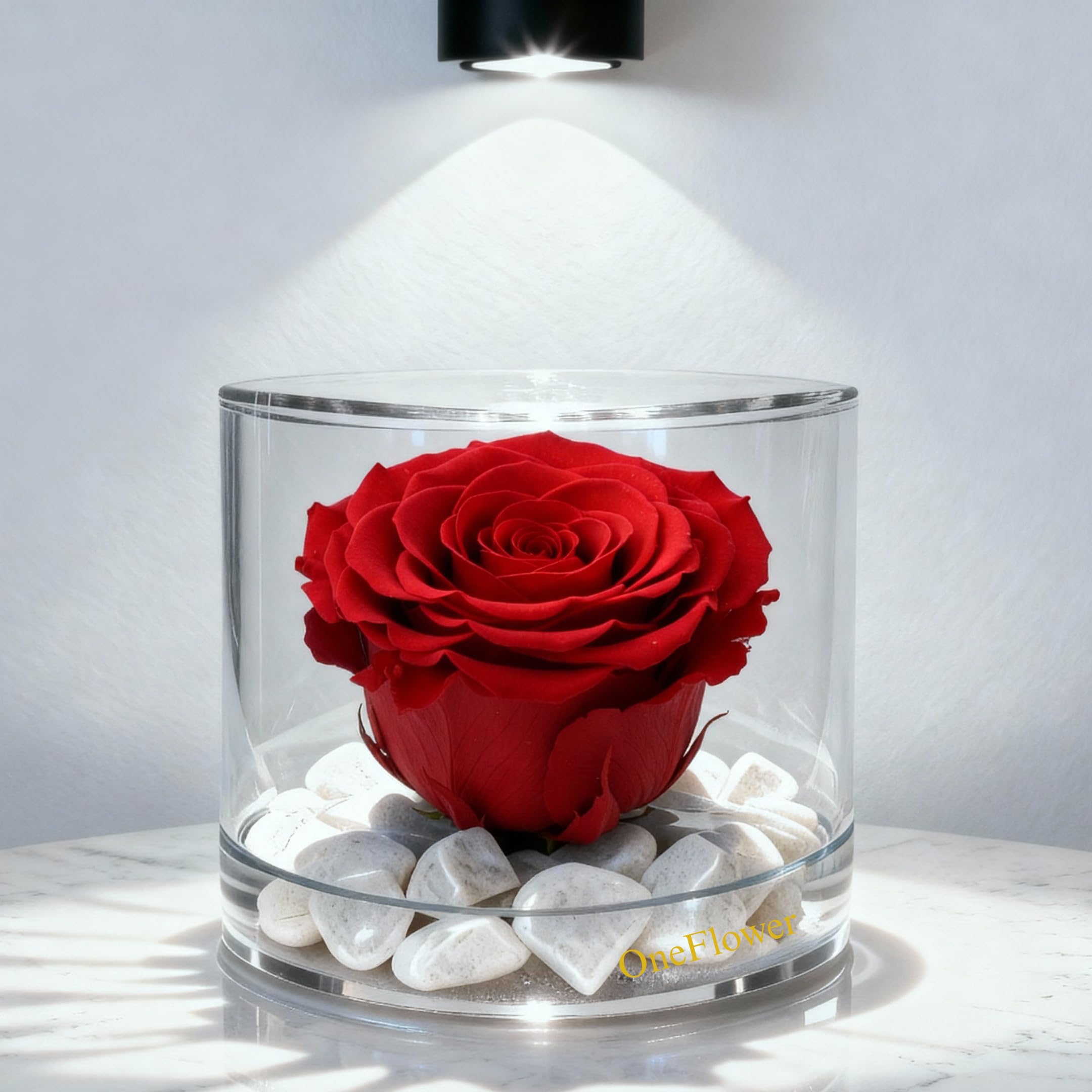 Boîte ronde avec rose rouge éternelle : cadeau idéal femme, maman et Saint-Valentin