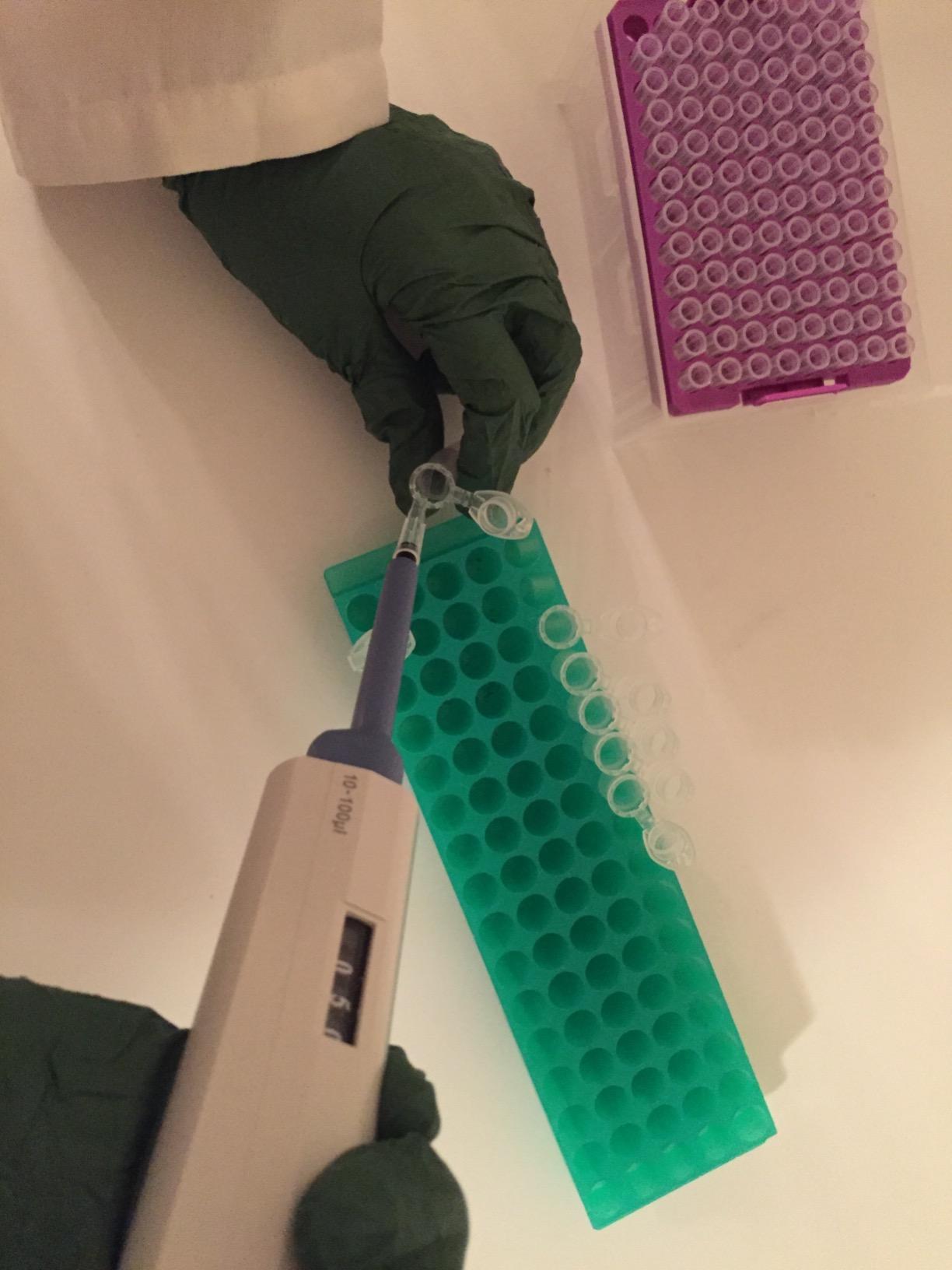 Juego de 3 micropipetas de volumen ajustable 5-50 ul, 10-100 ul, 100