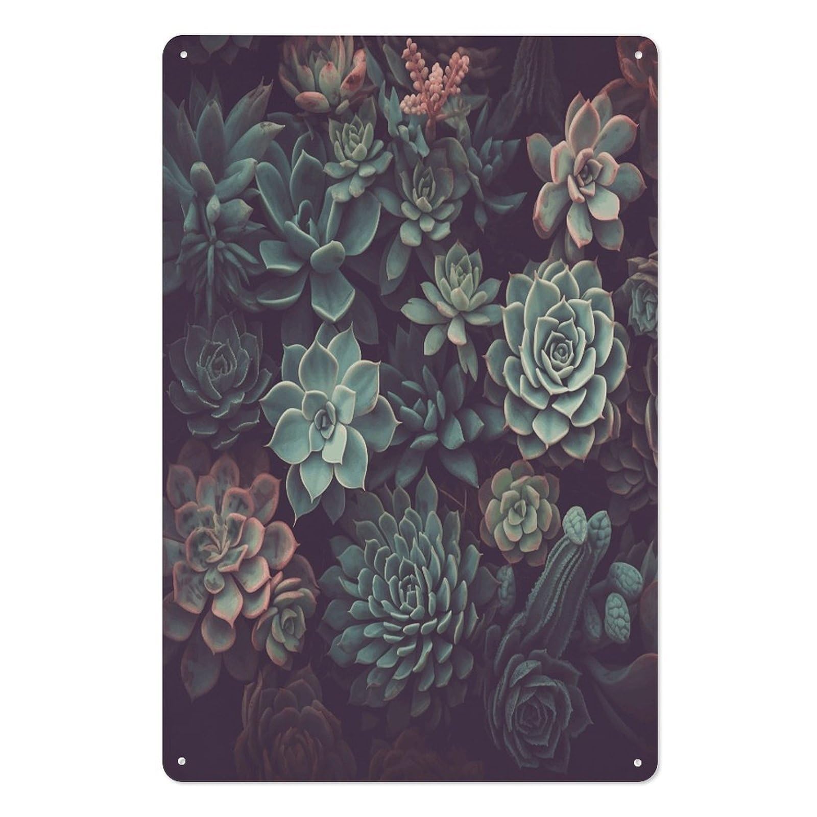 Adfgyerh Style Succulents2 Tin Sign Hanging Art Prints,Wall Decor For Gifting And Party Decoration 7.9X11.8 Inch,Wall Art For Home Garden Greenhouse Living Room Bedroom Yard