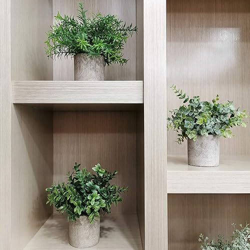 Miniatura 5 de Winlyn Mini plantas en maceta, eucalipto artificial, boj, romero vegetación en macetas, hierbas sintéticas en maceta, plantas de interior pequeñas