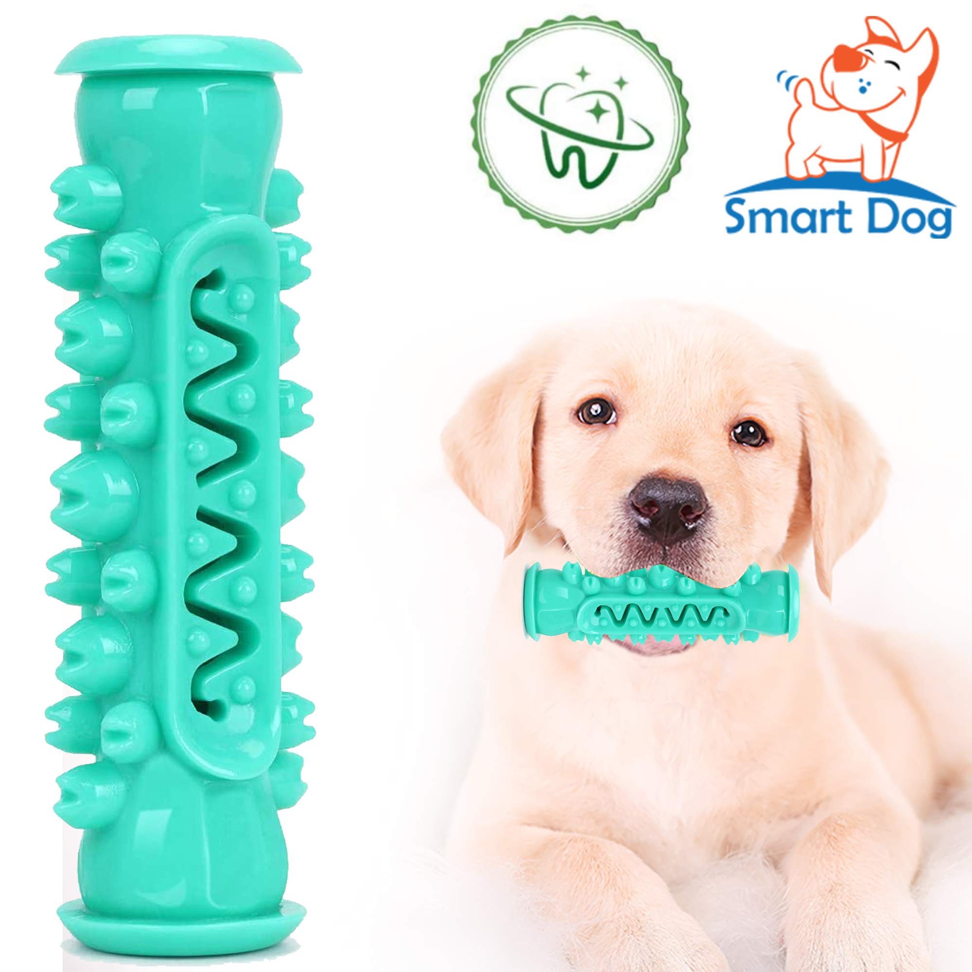 standing dog toothbrush