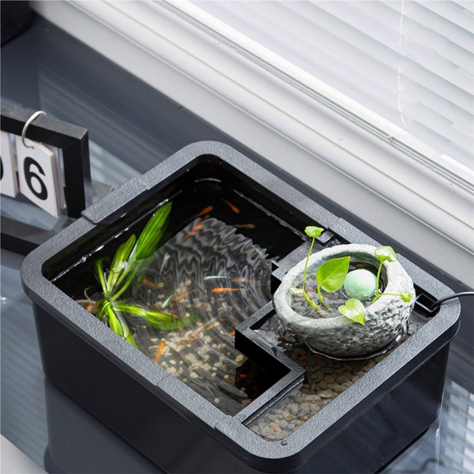 Siedlisko terrarium Pulpit Krajobraz Ekologiczna miska do karmienia czarnego żółwia Terrarium akwariowe