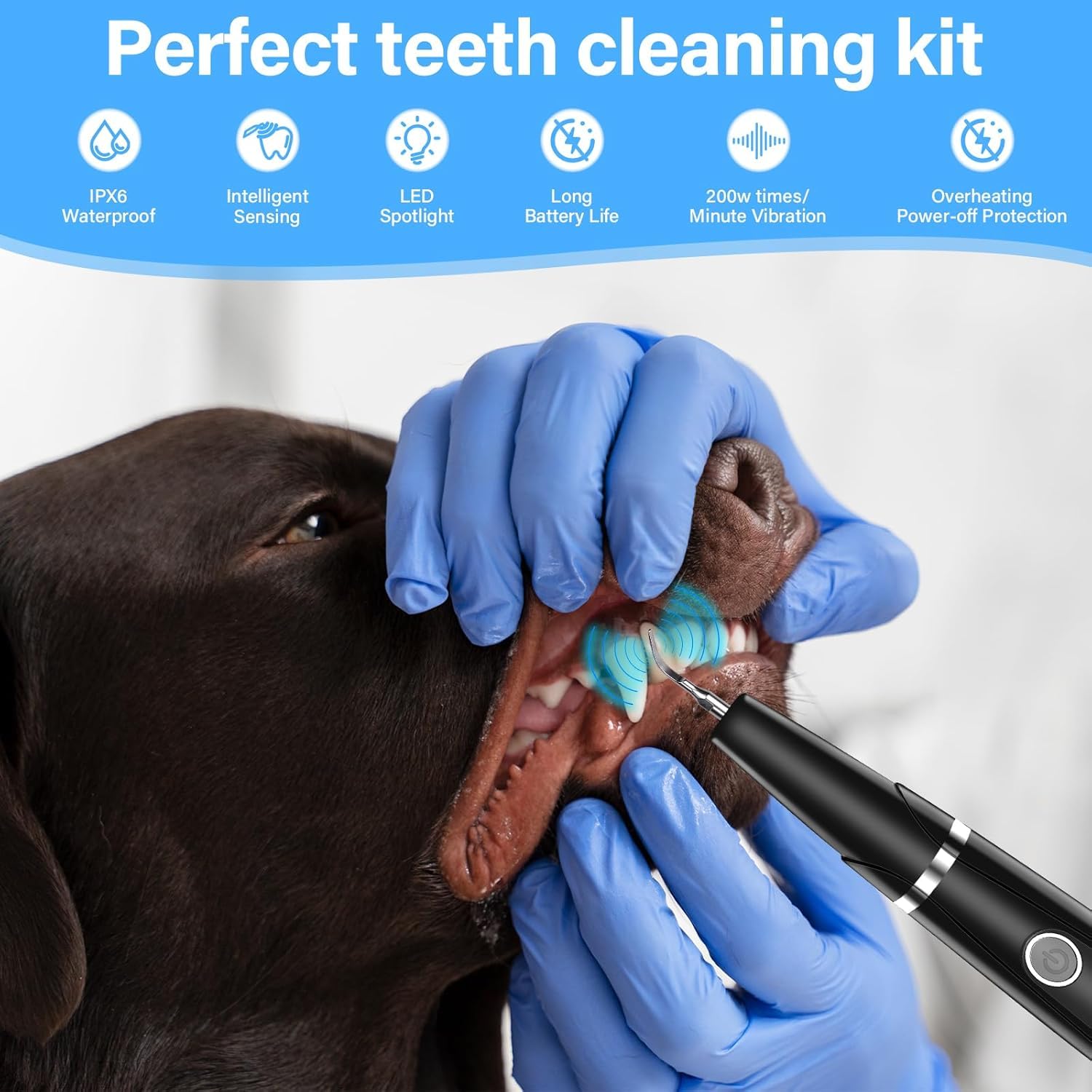 Kit de Nettoyage des Dents de Chien, Tartre Dentaire Nettoyage, Soins Dentaires pour Animaux de Compagnie, Brosses à Dents pour Chiens et Chats