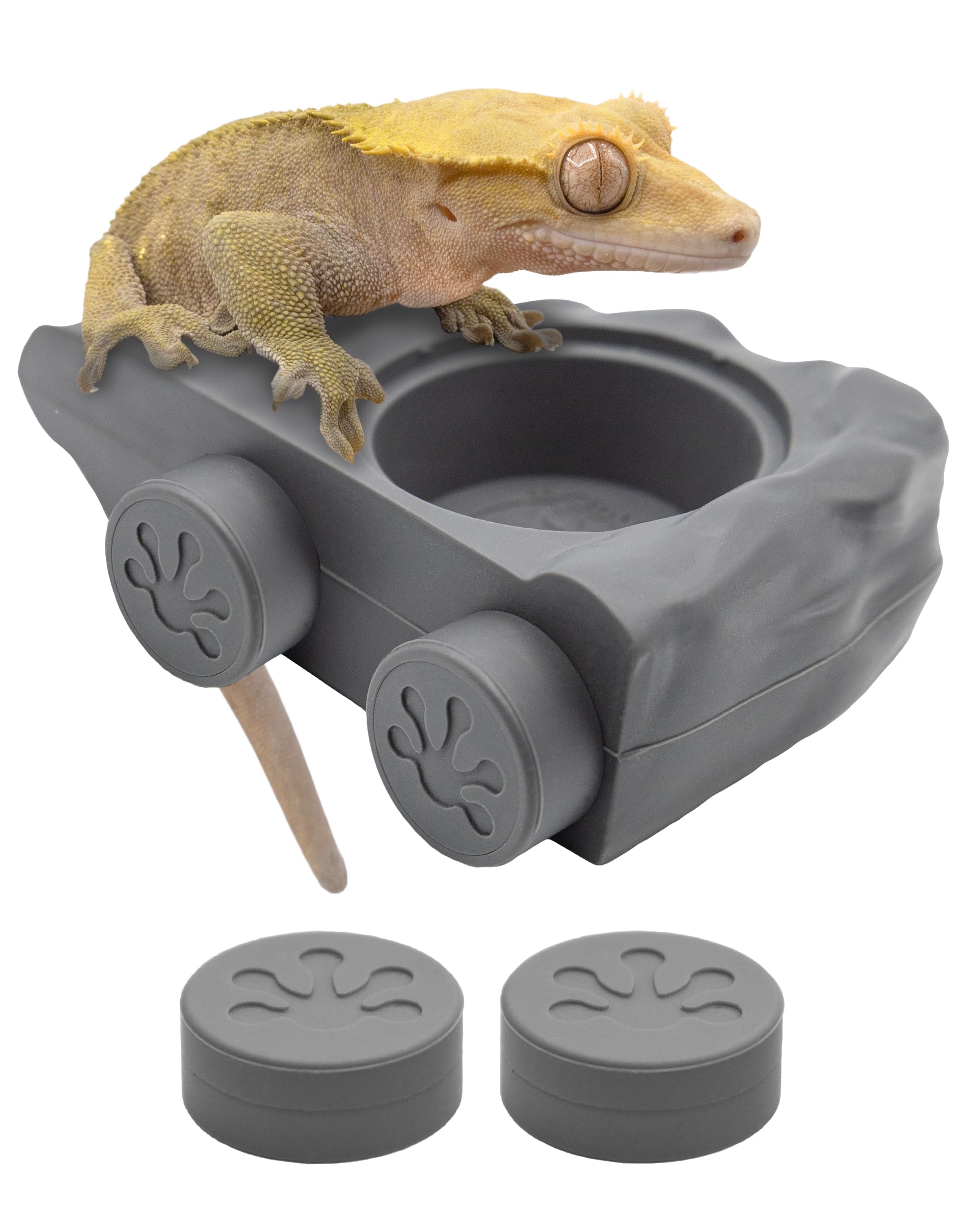 Mangeoire Pangea Gecko magnétique en silicone anti-renversement pour terrarium et aquarium