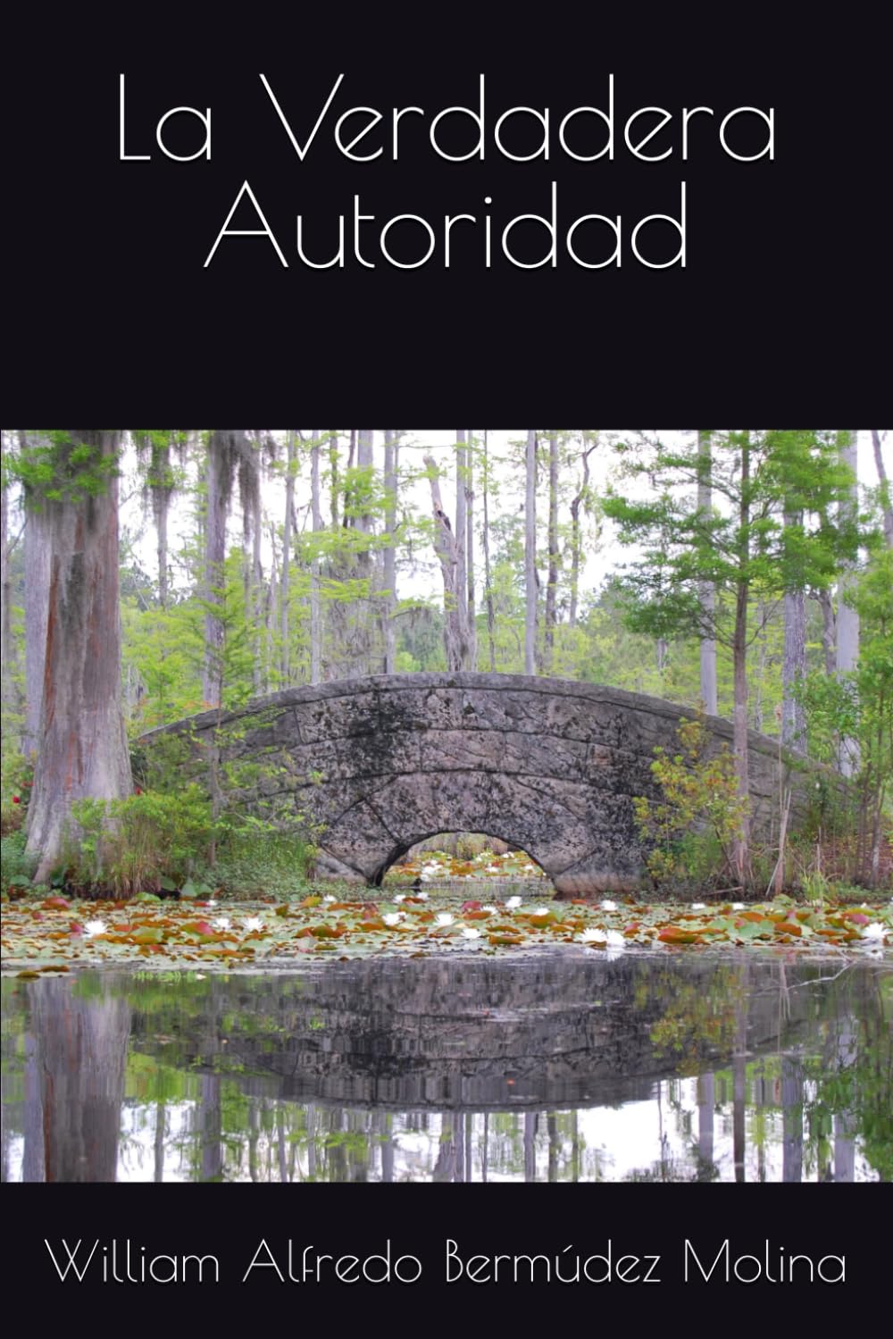 La Verdadera Autoridad (Reflexiones)