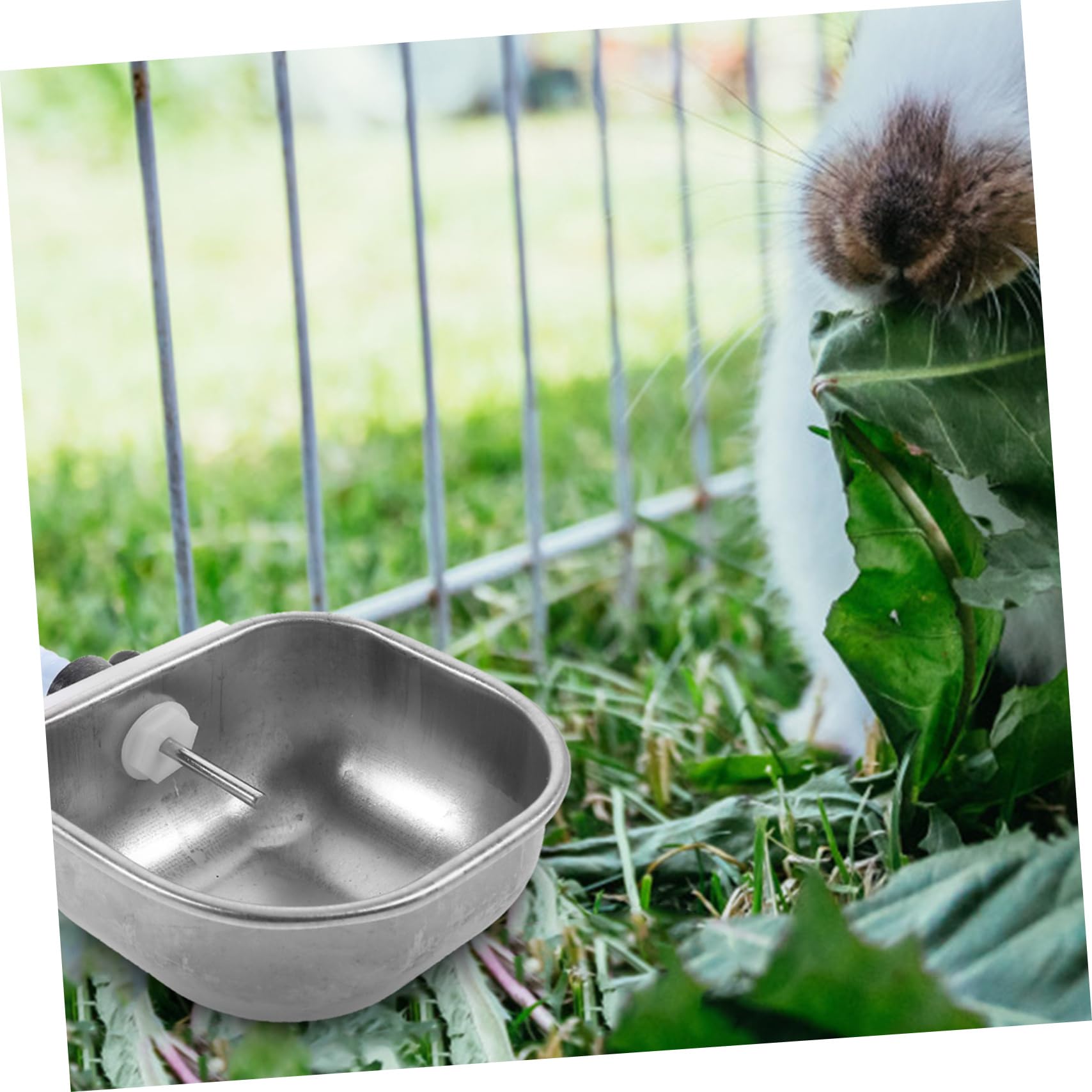 COLLBATH 3piezas Dispensador De Agua para Mascotas Conejos Bebedero Conejos Comedero Automático Fácil De Limpiar