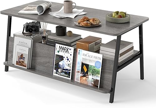 Miniatura 10 de GOODONE Mesa de centro de 2 niveles para sala de estar, mesa de centro pequeña con estante de almacenamiento y estantería, mesa central para sala de