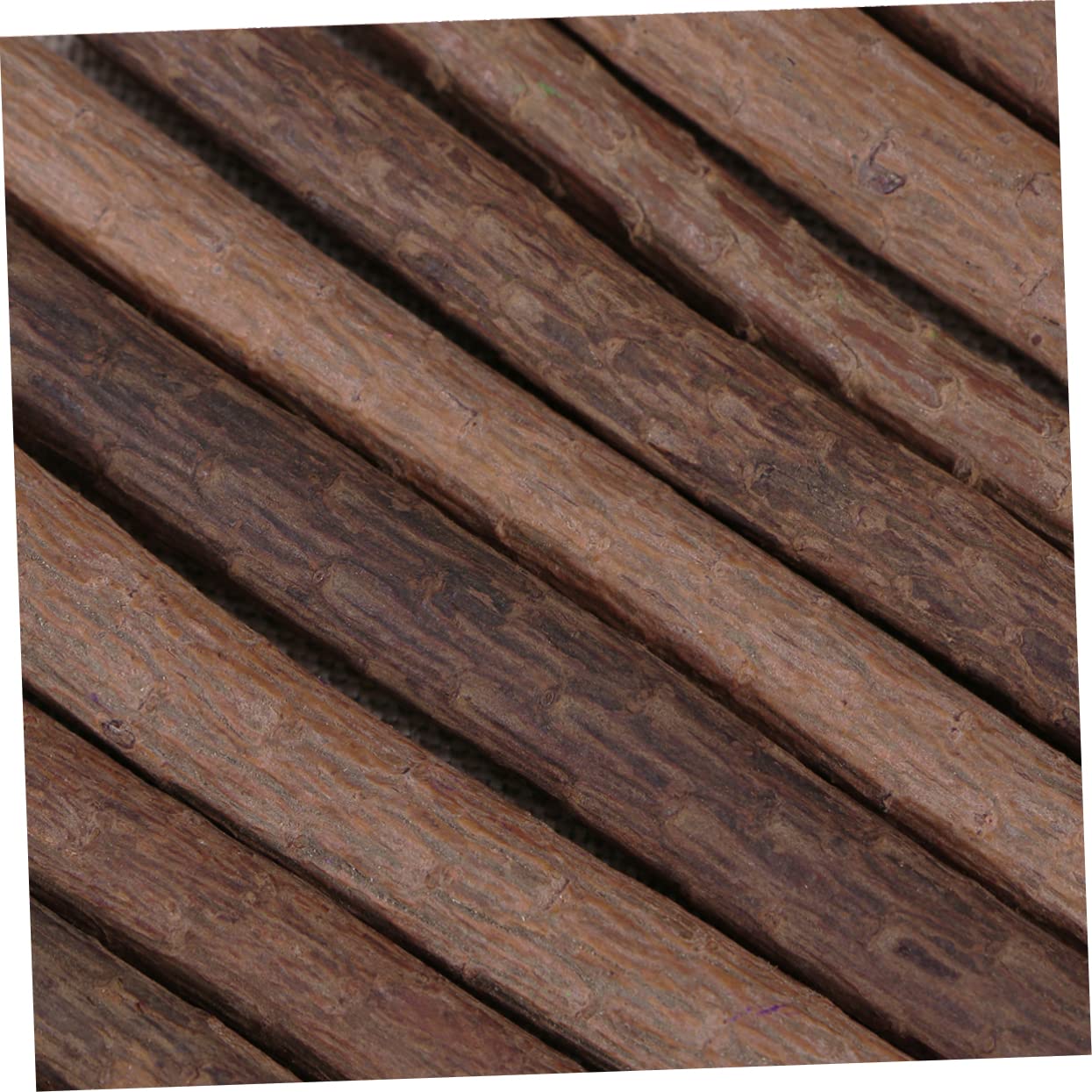 LALAFINA 24pezzi Matite Colorate Di Ramo Per Disegno Artistico Matite Di Bark Per Creatività e Attività All Aperto Per Insegnanti