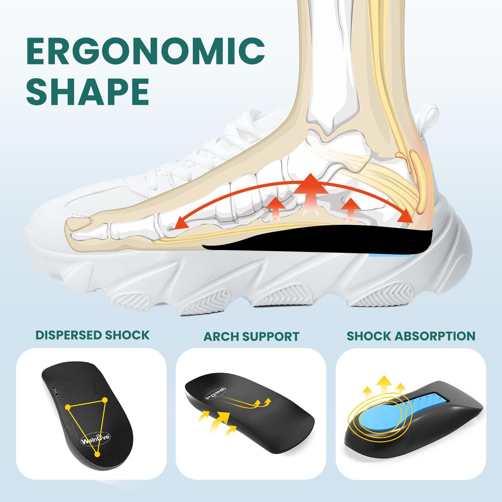 low profile insole anatomy arch support heel cup cushioning