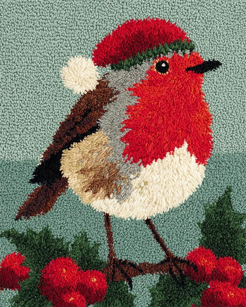 FWRTYCB Latch Hook Rug Kits,Christmas Robin Bird Xmas