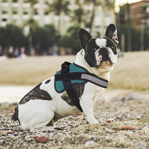 Miniatura 101 de Bolux - Arnés para perro, reflejante y transpirable, ajustable, con asa, para sacarlo a pasear, no más tirones ni asfixia (amarillo militar, talla L)