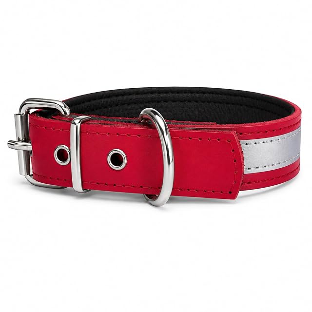 Collar de Cuero con Cinta Reflectante de Alta Visibilidad - Acolchado Interior - Nombre Personalizado