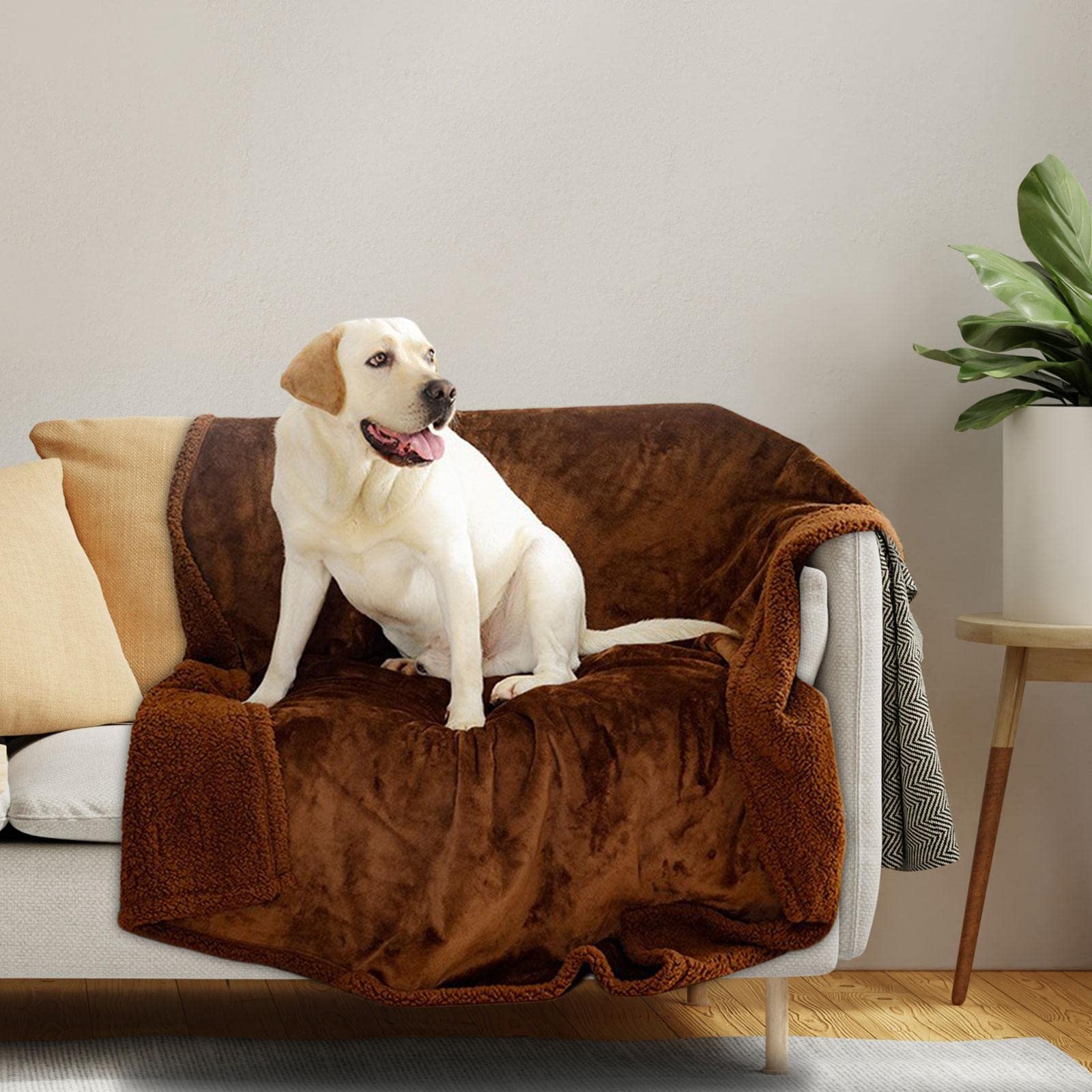 Couverture Imperméable Chien Plaid Réversible Tapis Animaux Flanelle Lavable à la Main et en Machine avec Protection pour Animaux de Compagnie sur, Marron M