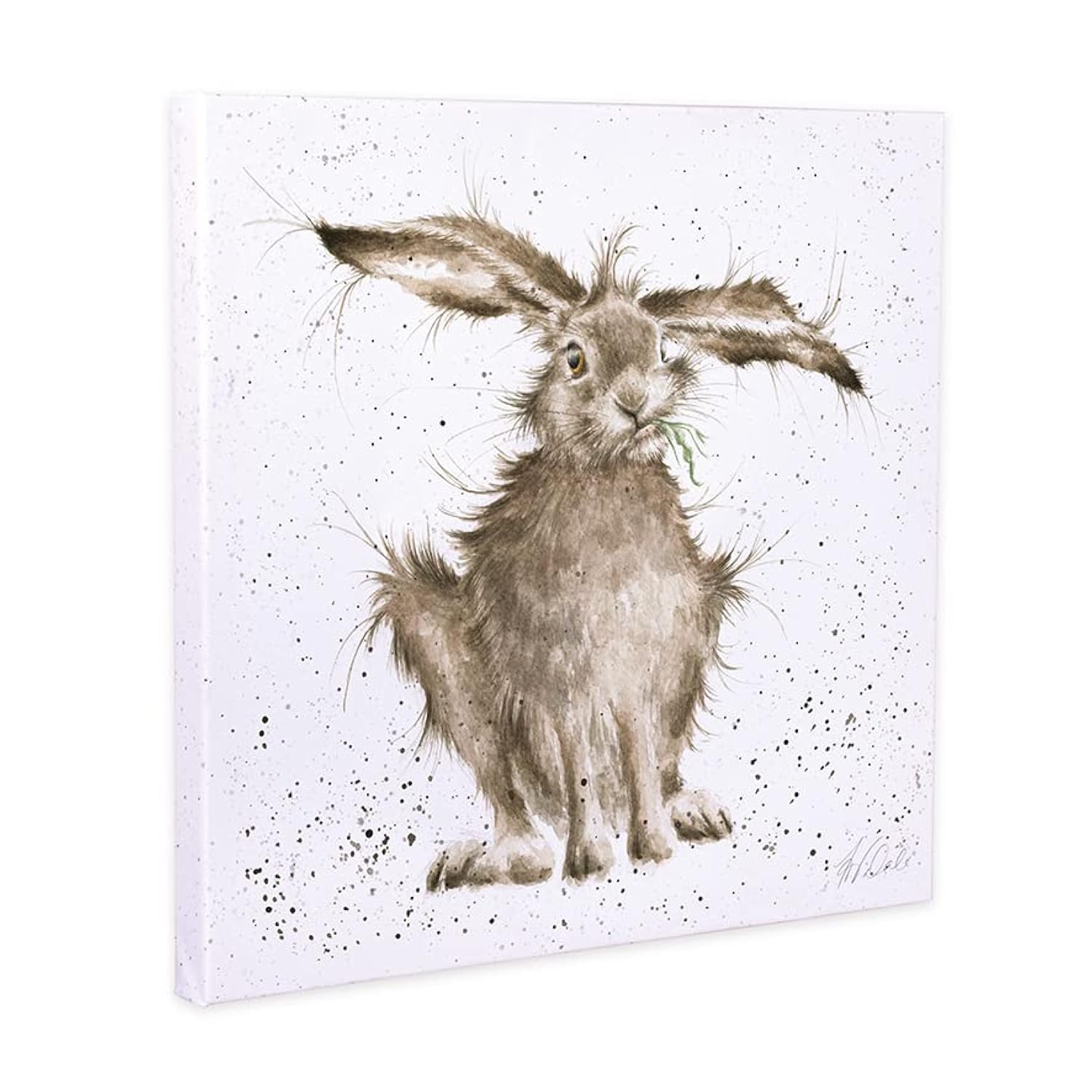 Wrendale Designs - 'Hare Brained' Small Canvas