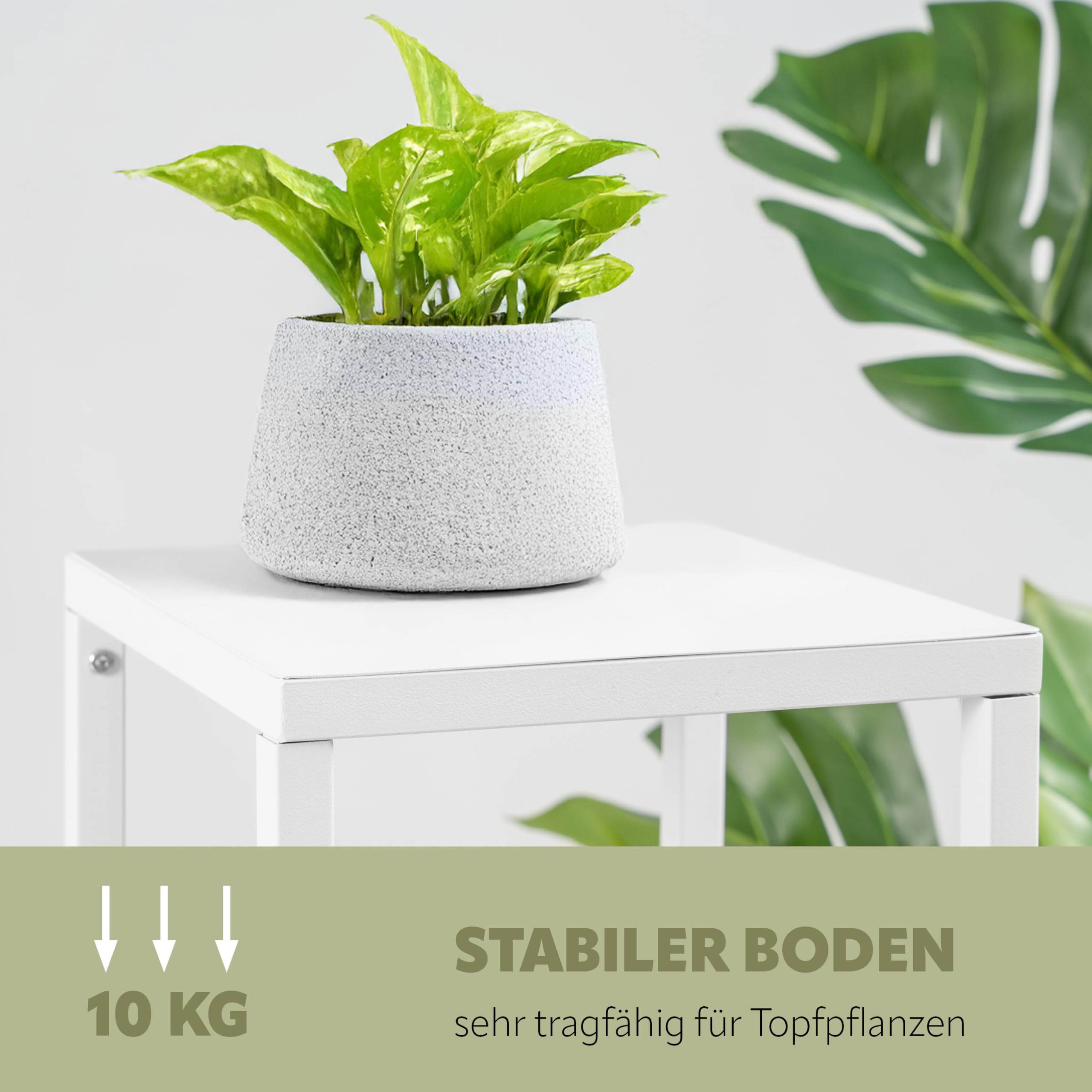 Bremermann Flower Stool, Metal Flower Column, White