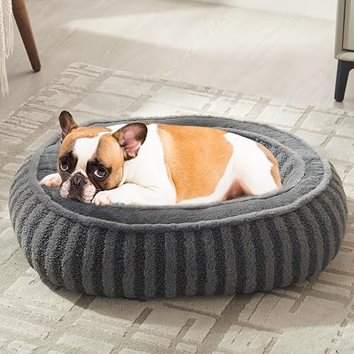 Cama para perros de tamaño mediano, camas grandes lavables para gatos de interior con parte inferior antideslizante, cama suave de apoyo para