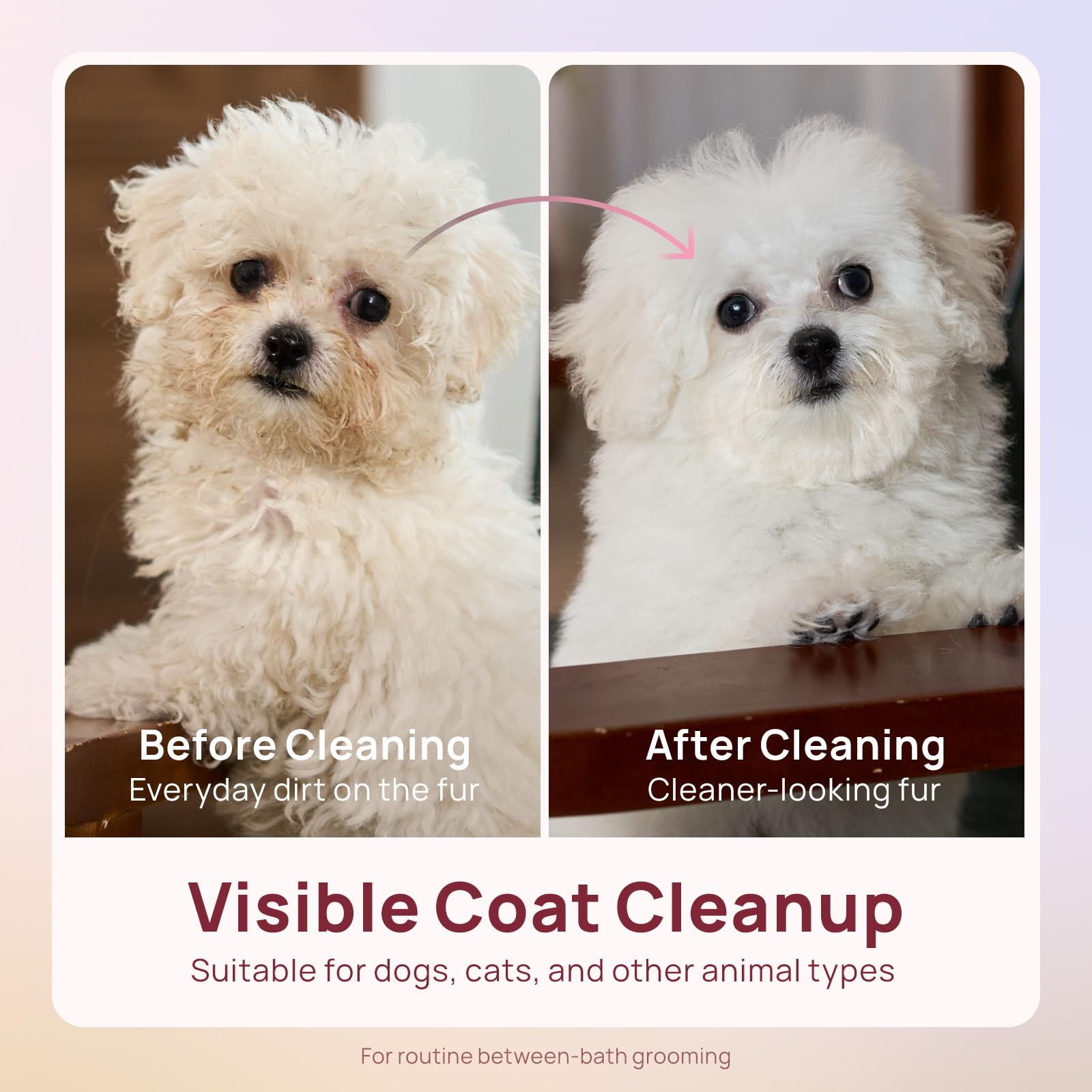 HICC PET Salviette per cani e gatti, Salviette ipoallergeniche consigliate | Salviette per animali domestici per zampe e glutei, salviette da bagno per cani, salviette deodoranti per la pulizia