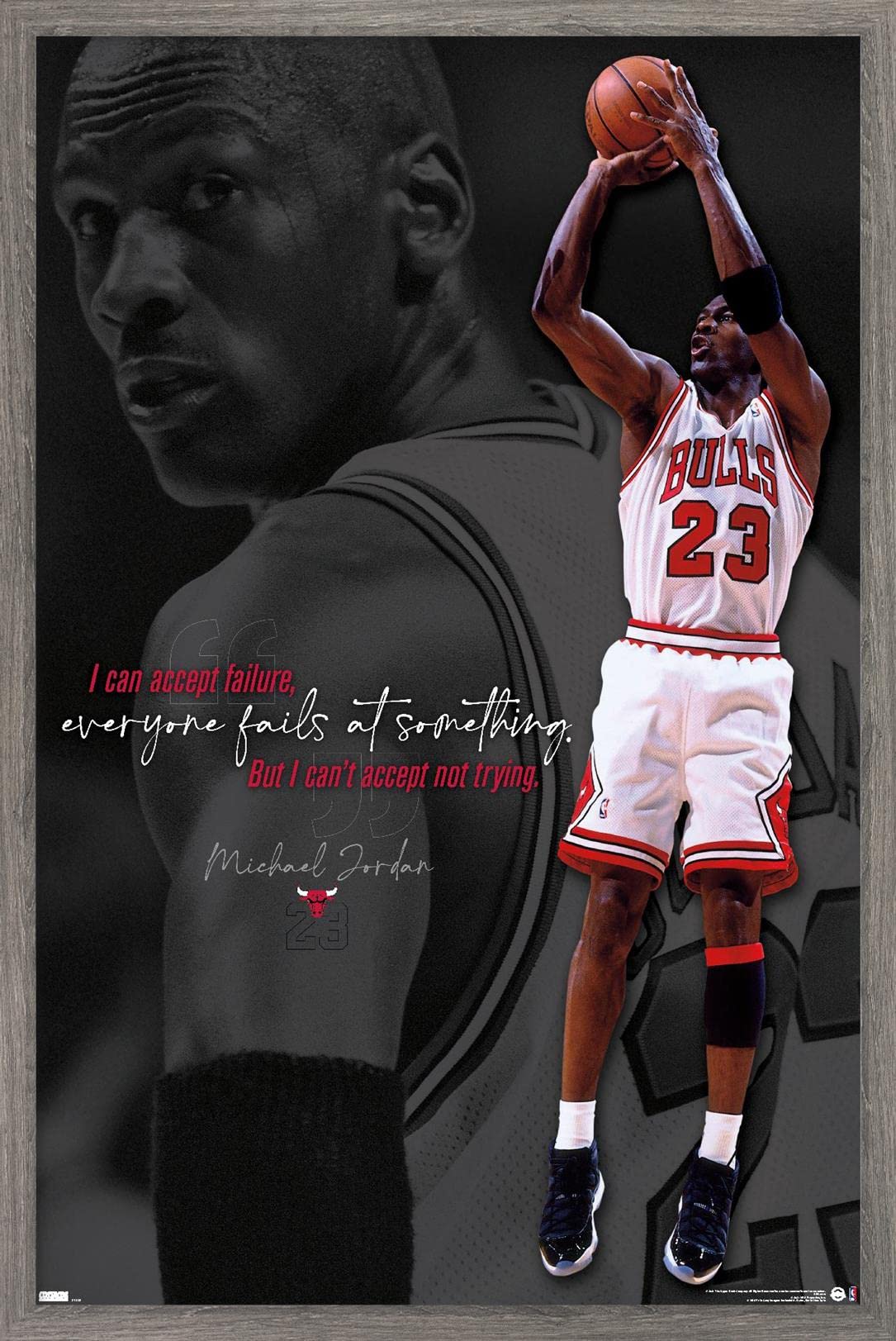 Amazon.com: Trends International Michael Jordan - Can't Accept Not