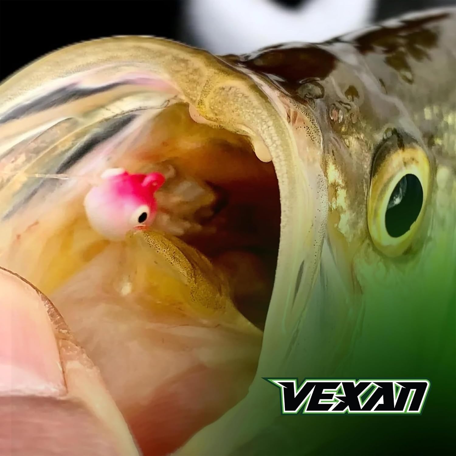 Vexan Tungsten Ice Fishing Jigs- Glow & Multi-Color, Tungsten Weighted, Durable, High-Carbon Steel Hooks – for Freshwater Perch, Panfish, Walleye and More - Multiple Hook Size Options