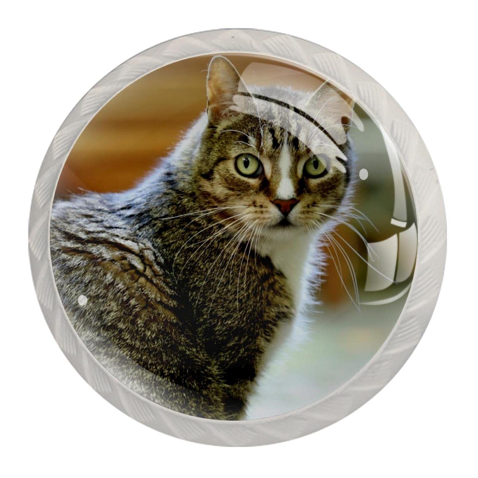 Poignée armoire blanche pour chambre d'enfant et boutons de porte design chat