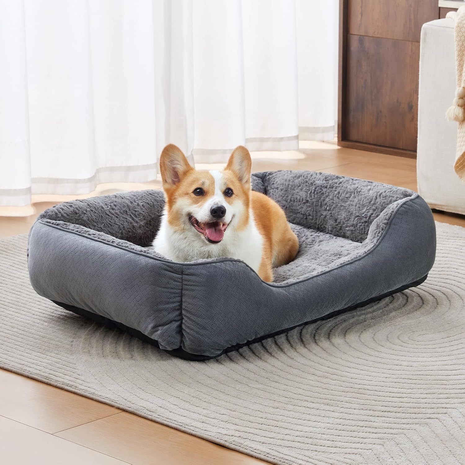 Dog Bed for Small Dogs Washable, Super Soft Durable Cat Bed, Warming Soft Calming Puppy Bed Pet Bed with Anti-Slip Bottom, Grey, 20 x 19 x 6inch Dog Bed for Small Dogs Washable, Super Soft Durable Cat Bed, Warming Soft Calming Puppy Bed Pet Bed with Anti-Slip Bottom, Grey, 20 x 19 x 6inch
