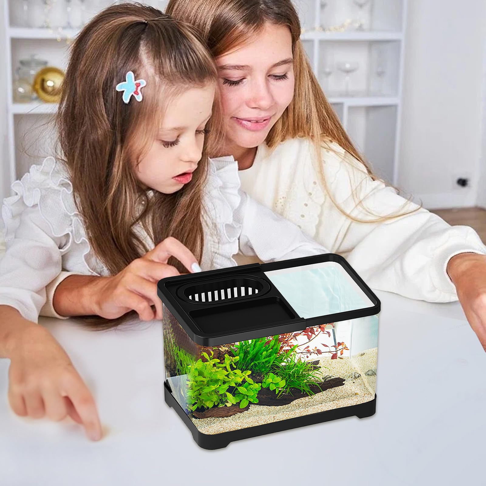 Pecera - Peceras Transparentes para Peces Betta con Filtro,Pecera Decorativa de Diseño para Decoración de Hogar Dormitorio Mesa Amantes de Mascotas Principiantes