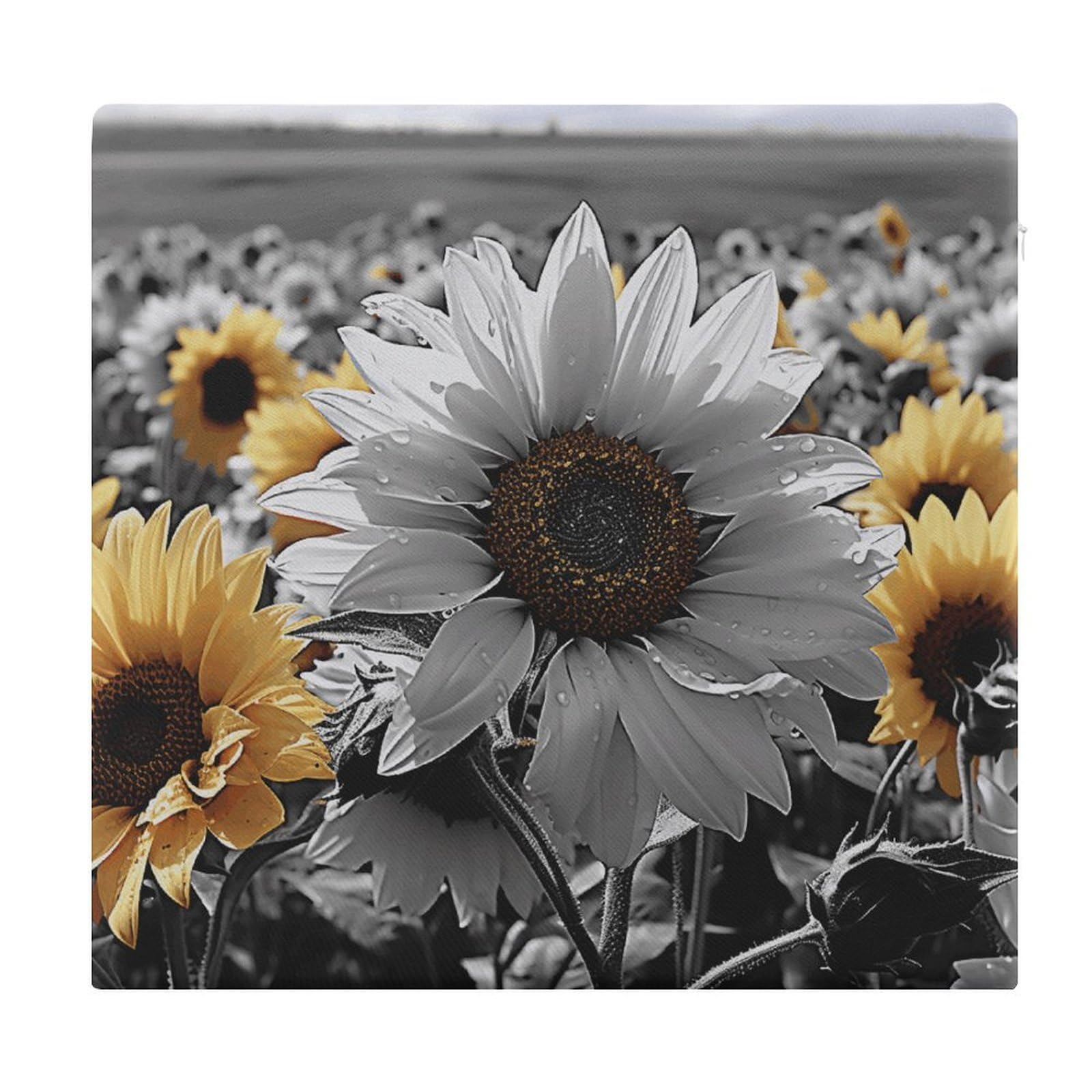 FekiLoot - Black and White Sunflowers Seat Cushion Outdoor Square Memory Foam Non-Slip Comfort Meditation Cushion for Kitchen Dining Office Chairs 15 x