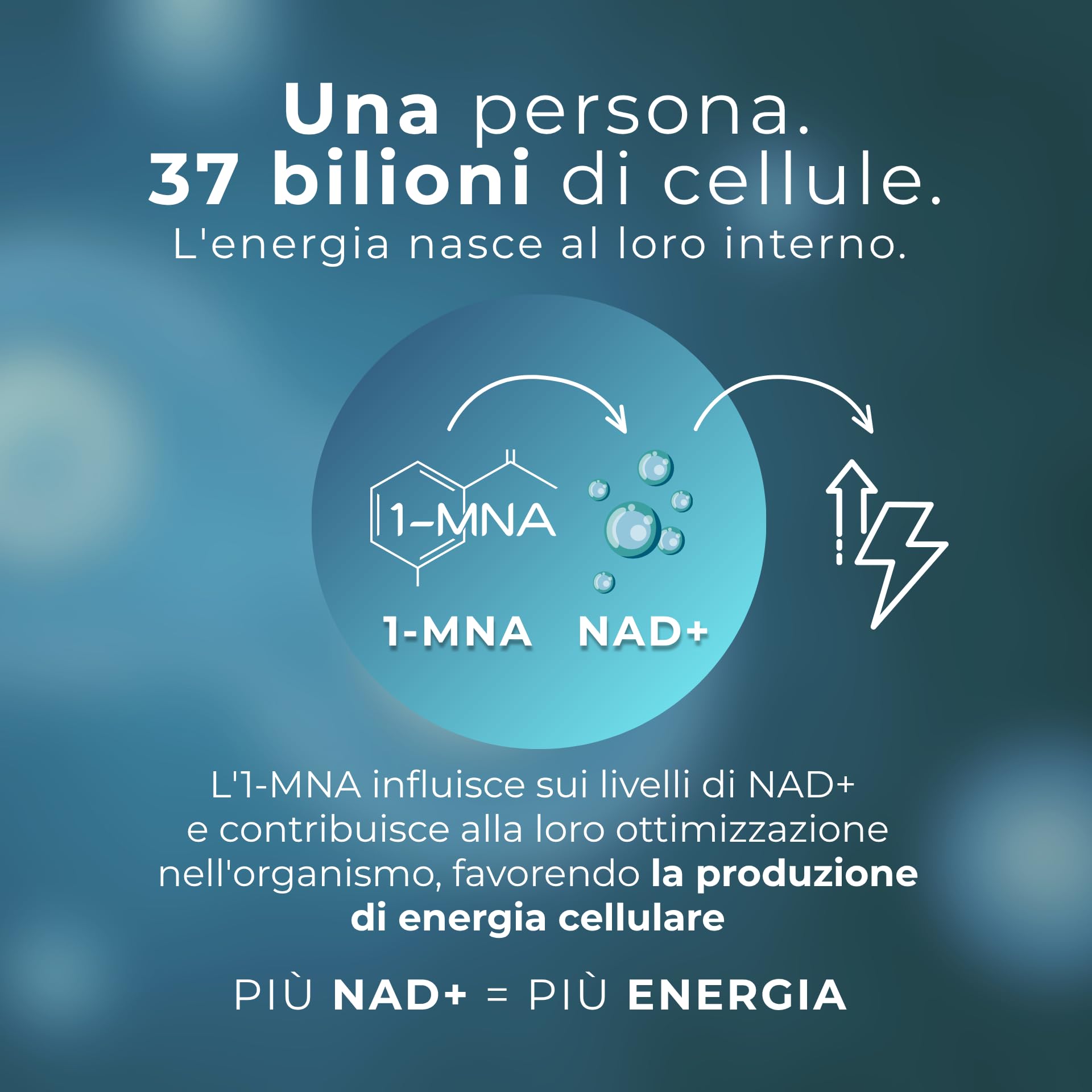 1-MNA, Integratore Anti-Età, Ottimizza NAD+, Biohacking, Supporto per la Salute Cellulare, Formulato Scientificamente con Biodisponibilità Maggiorata, Vegan, 30 Compresse