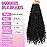 Goddess Boho Box Braids Crochet Hair-8 Packs 18 Inch Crochet Box Braids for Black Women Pre Looped (1B, 18 Inch(Pack of 8))