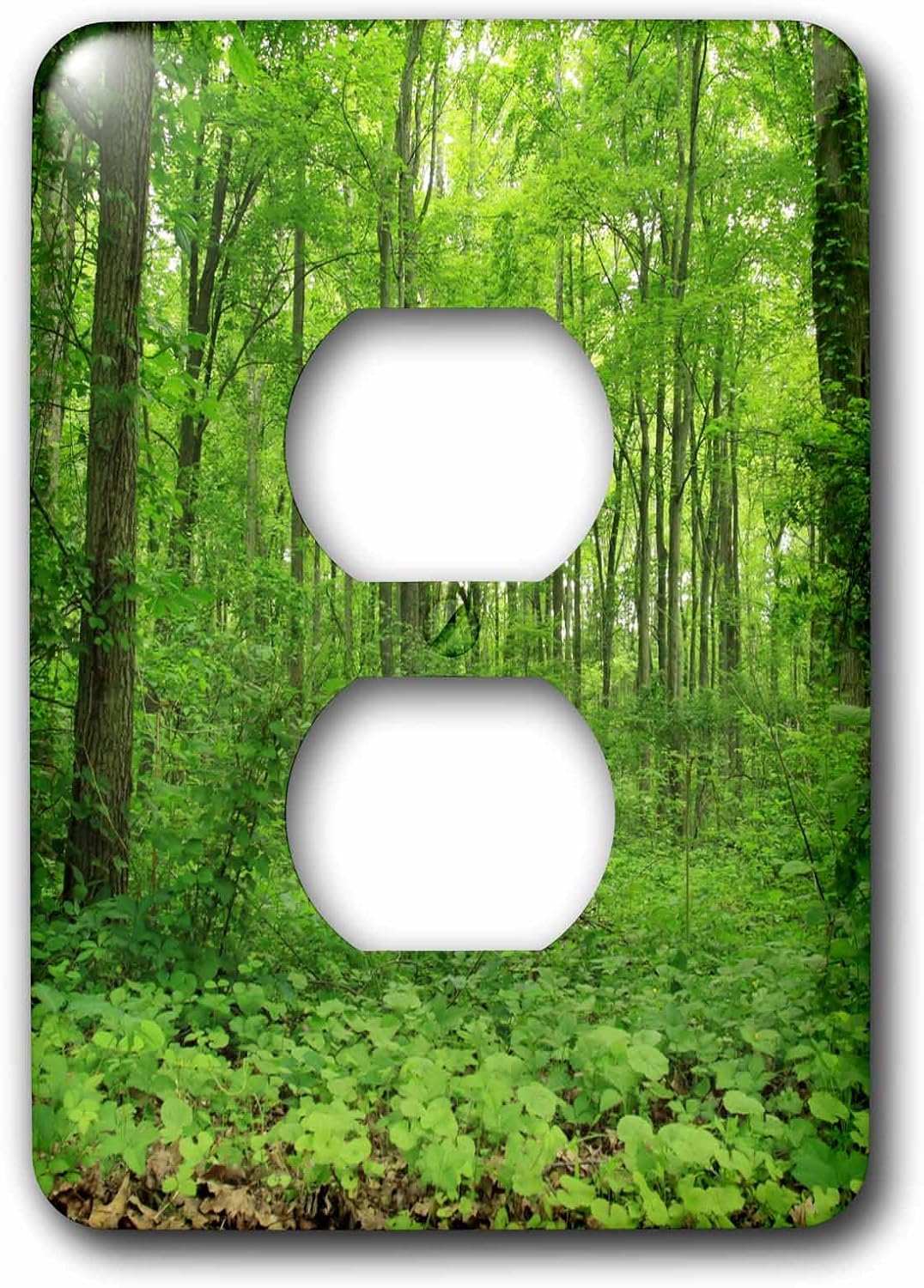 3dRose LLC lsp_27790_6 Trees Leaves Green Forest 2 Plug Outlet Cover