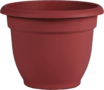Bloem AP0613 Ariana Self Watering Planter 6" Burnt Red, 6"