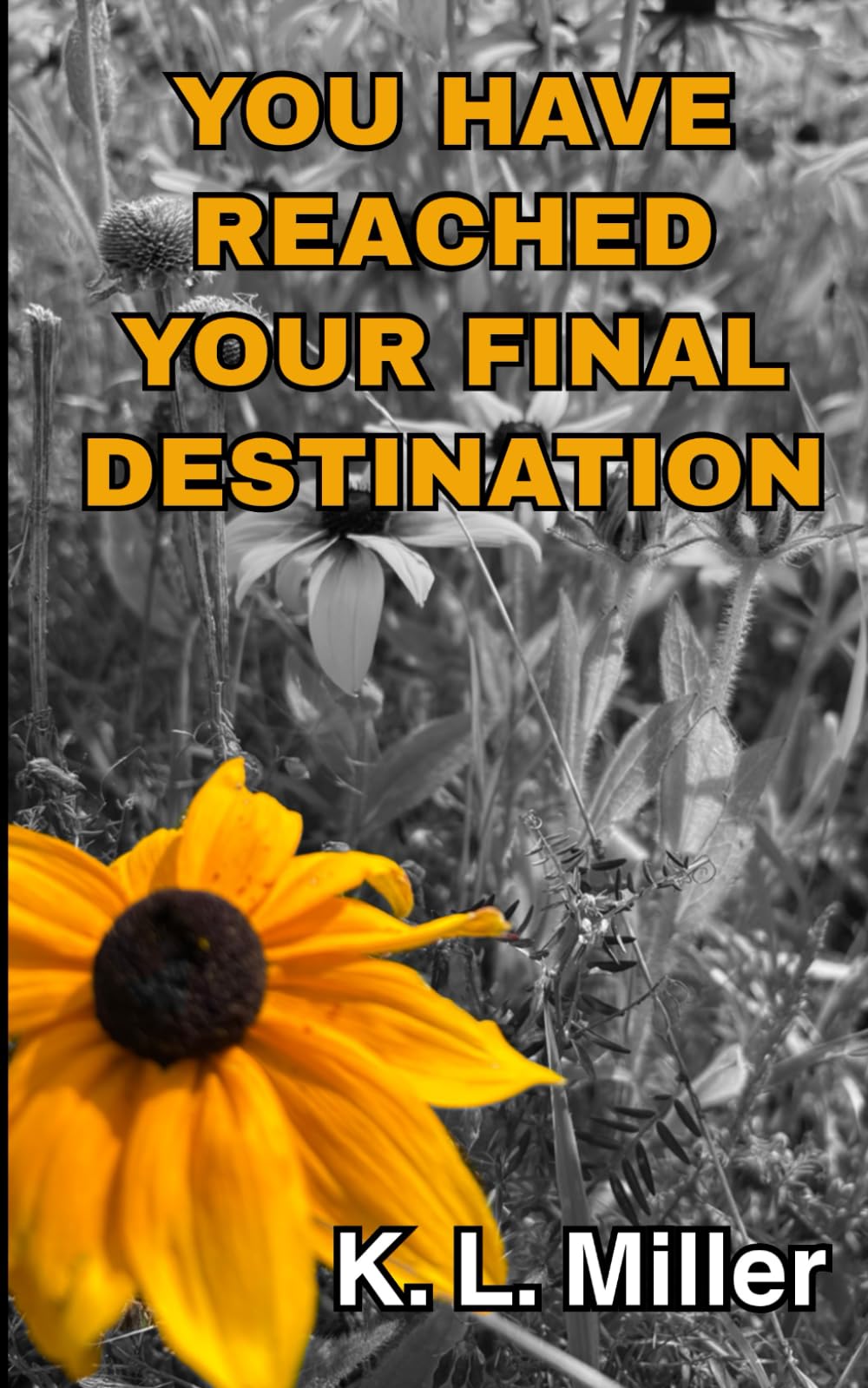 You Have Reached Your Final Destination