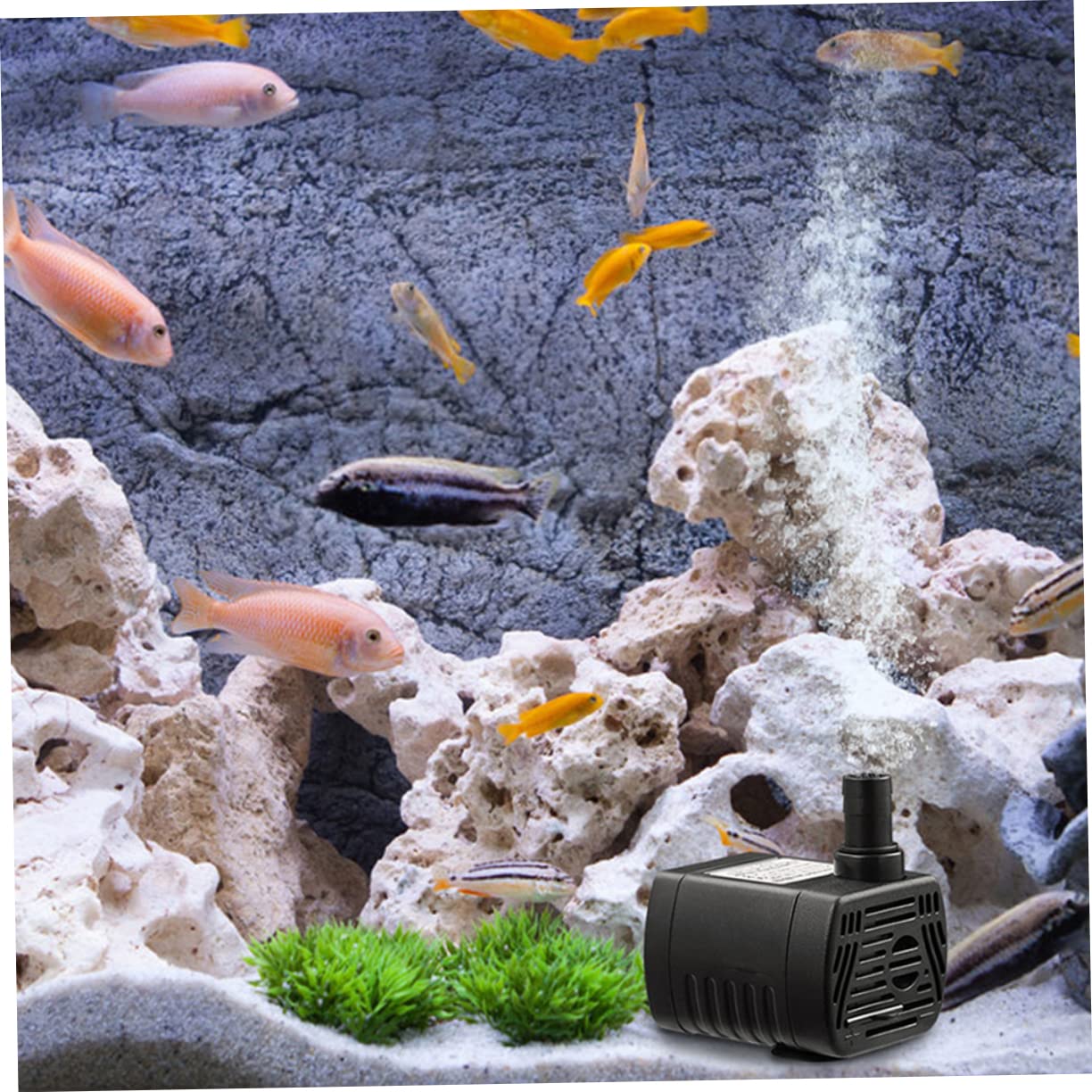 minkissy 3piezas Mini Bomba De Agua Dc Sumergible Para y Bomba Silenciosa De Circulación Para Enfriamiento De Peceras y Hidropónicas