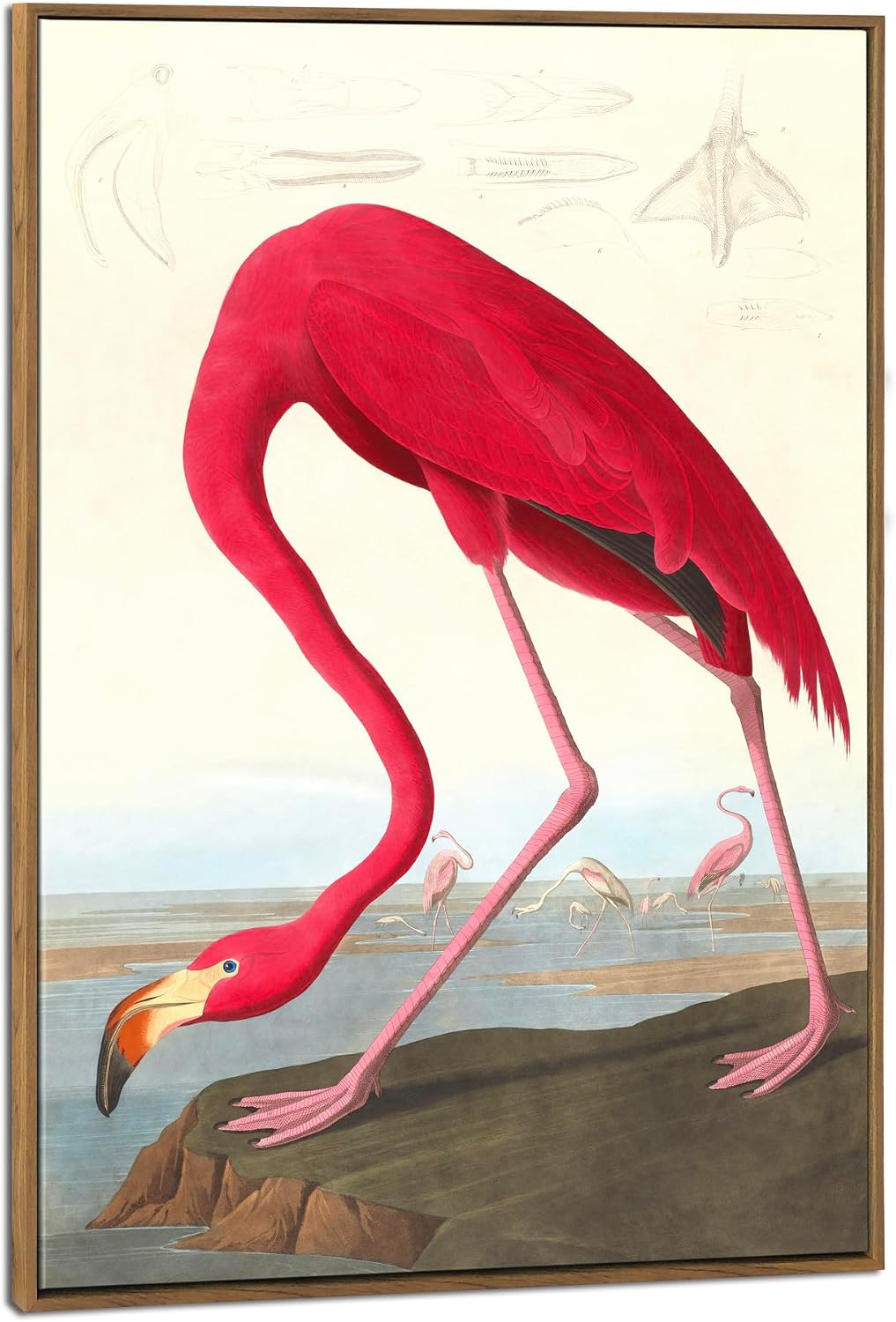 Wieco Art Framed Canvas Print Wall Art American flamingo by John James Audubon The Birds of America Reproductions Art Print for Living Room Bedroom Home Kitchen Decorations FAUDUBON-0001-6090-NW2.9