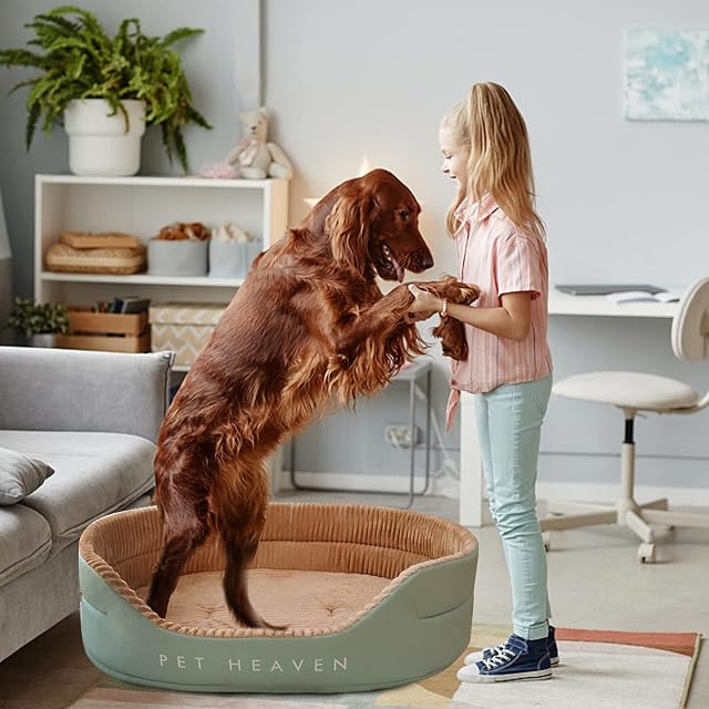 Foto 2 de 6 de PETCUTE Reversible Cama para Gatos y Cachorros,Lavable Cojín para Gatos y Perros Pequeños,Cama Cojín Suave…