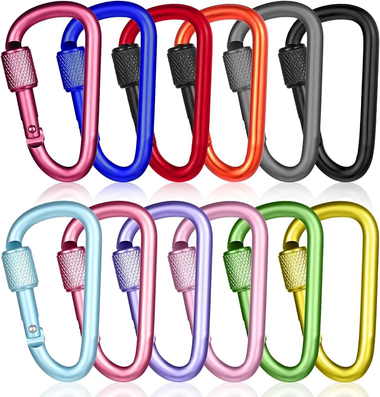 Lot de 12 petits mousquetons en forme de D, en alliage d'aluminium, avec fermeture à vis, pour l'extérieur, le camping, la randonnée