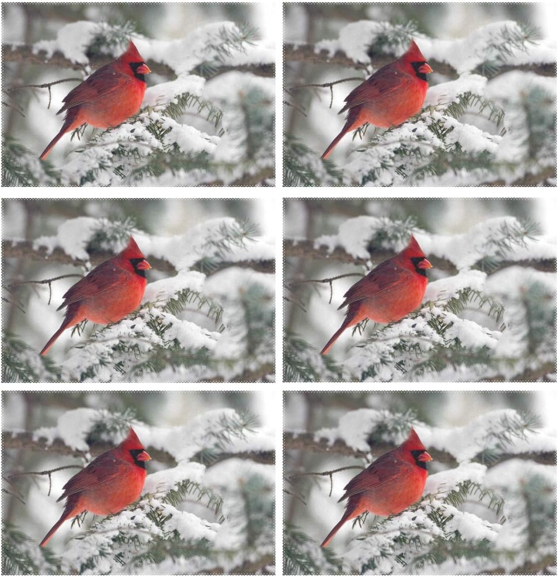ALAZA Winter Red Cardinal Snow Placemats for Dining Table Heat Resistant Kitchen Table Decor Washable Table Mats Set of 6