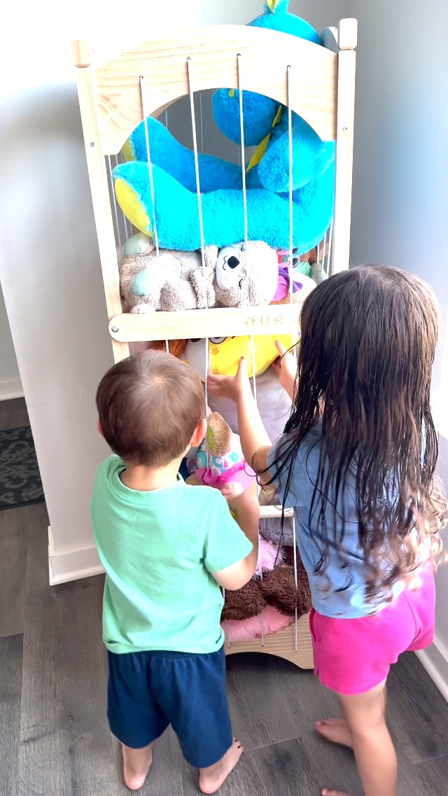 Plush Toy Storage Ideas for Toddlers: Smart & Stylish Solutions
