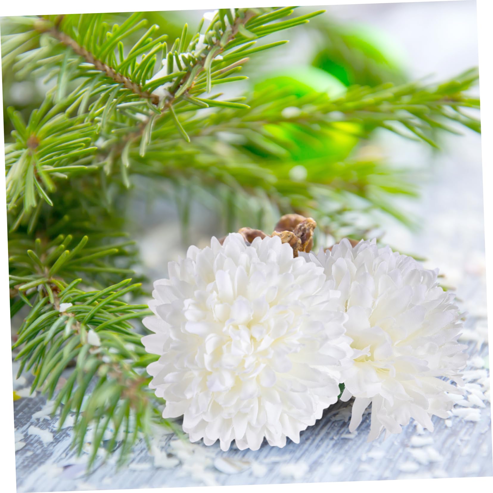 Cabilock 2 Sätze Simulation Melaleuca Heimdekoration Tischdekoration Für Die Hochzeit Nelkenblüte Aus Seide Künstlicher Chrysanthemen-nelkenstrauß Pfingstrosen Seidentuch 50 Stück * 2