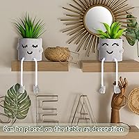 Vista 7 de Planta artificial en maceta, decoración de cubículos de plantas suculentas falsas, lindas plantas de escritorio falsas, patas colgantes, decoración