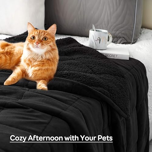 Miniatura 5 de Sivio - Manta de sherpa con peso