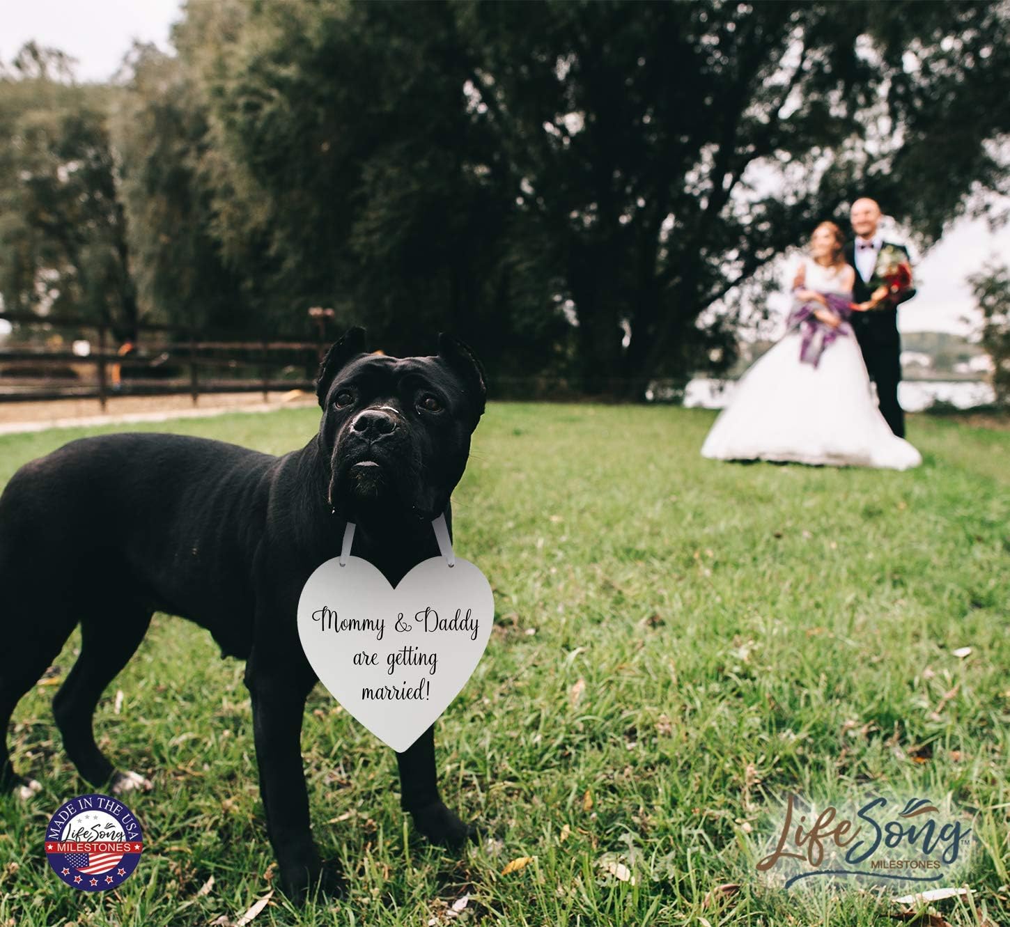 LifeSong Milestones Wedding Sign Bundle for Dogs - Mom and Dad image 4