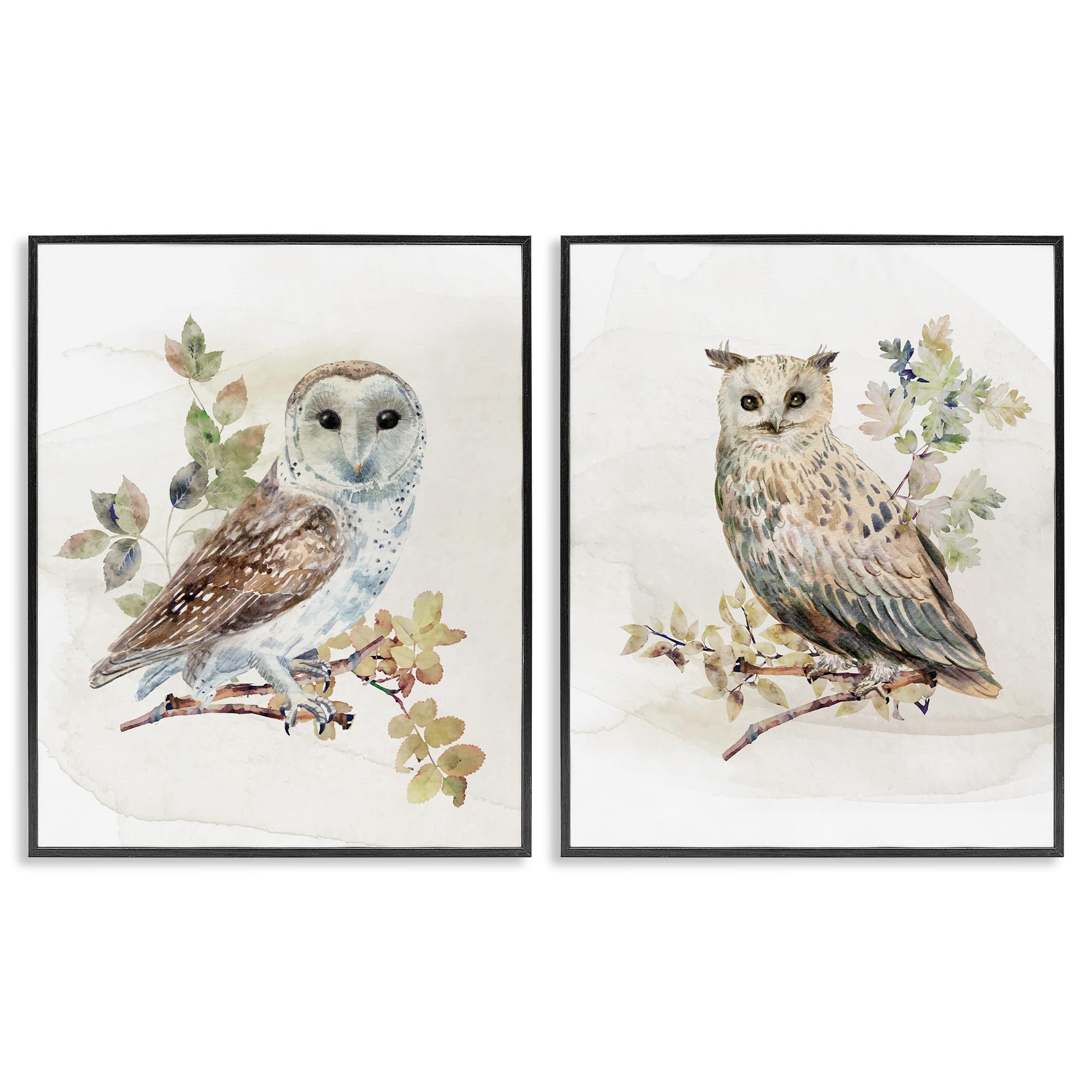 Stupell Industries 'Owls Perched in Foliage', 2pc Framed Giclee Art Set 2, Black, 11 x 14 Inches, Easy to Hang and Sturdy, Made in USA, by CAD Designs